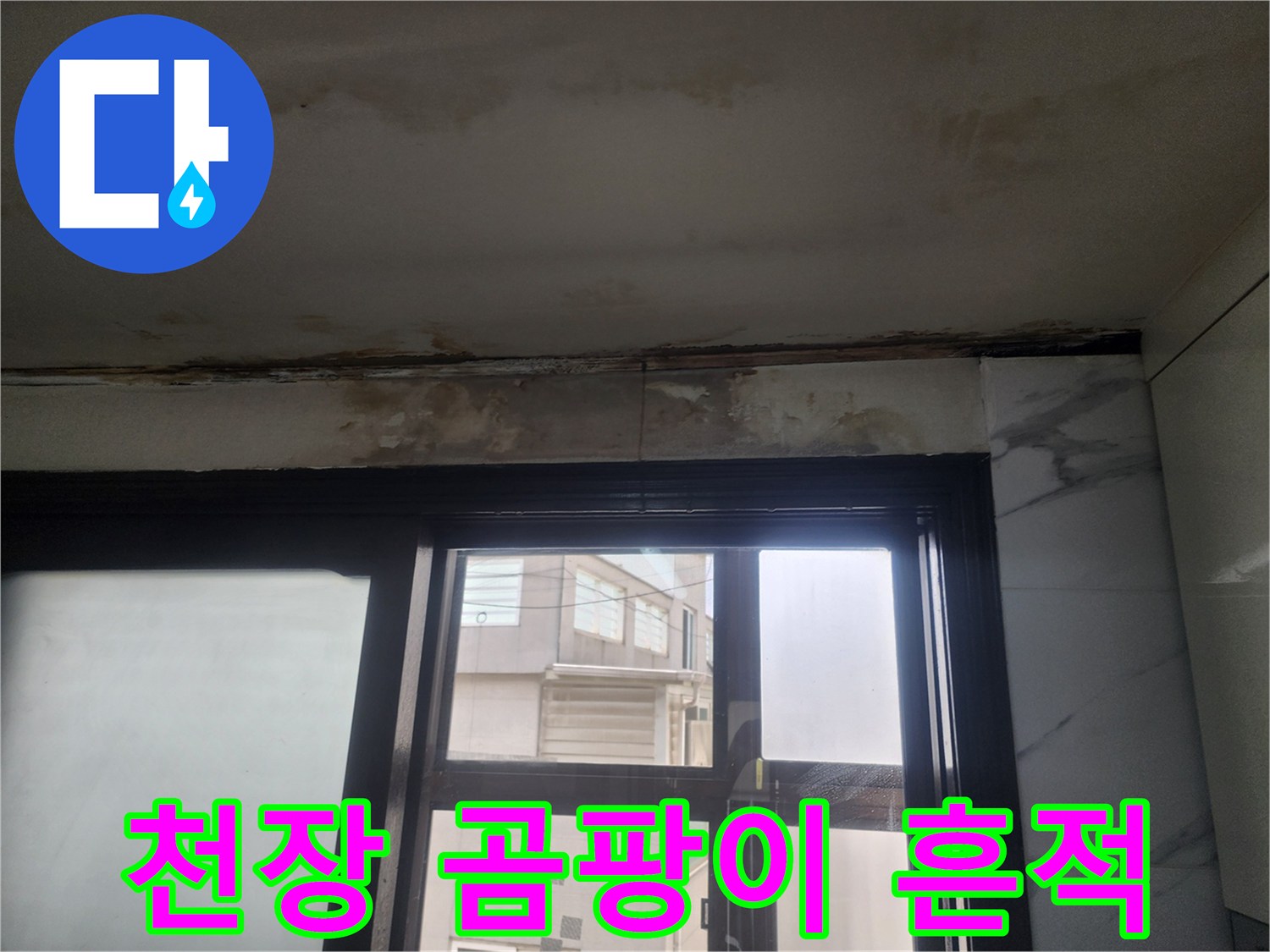 주방 천장 가장자리에 나타난 곰팡이와 얼룩