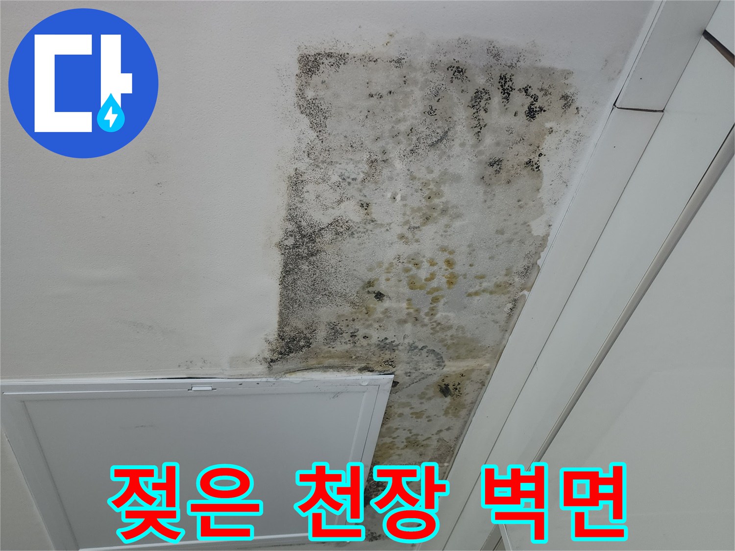 심한 곰팡이 흔적이 보이는-천장 누수 피해 구역