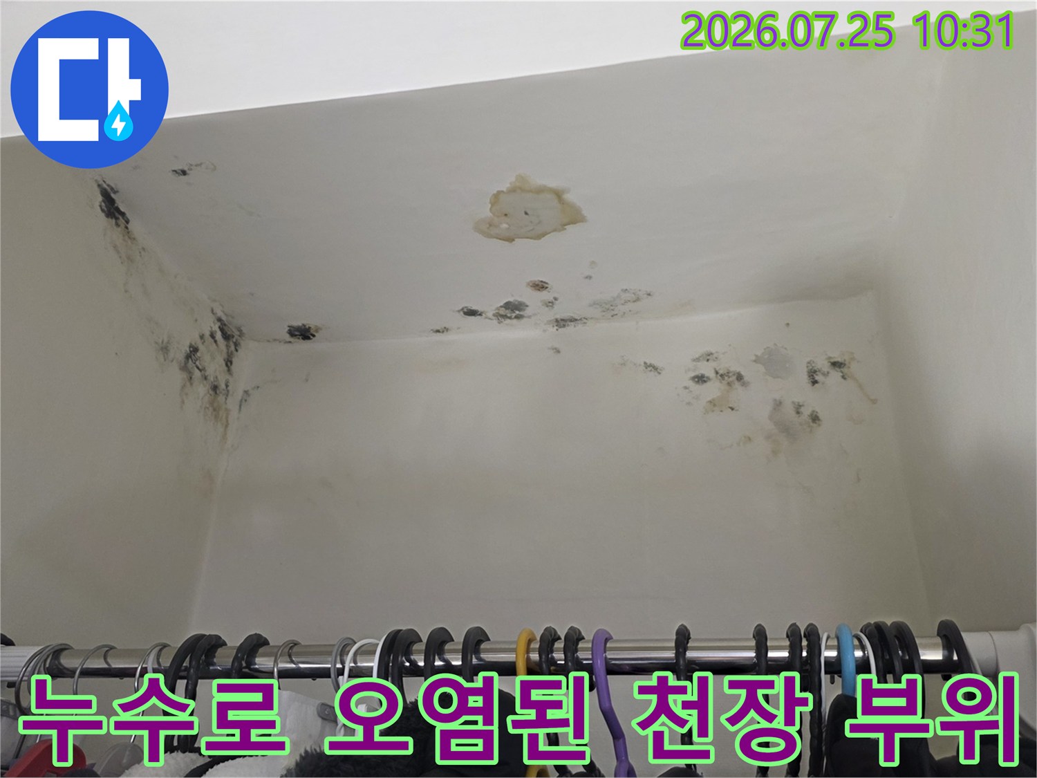 천장 모서리에 검은 곰팡이가 번져 있고 중심부에 도배지가 손상되어 떨어진 사진