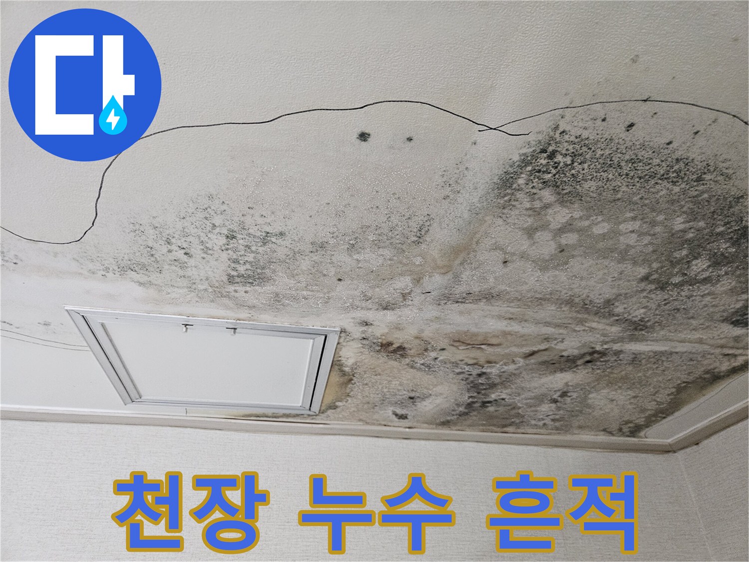 물샘 현상으로 인해 검게 변한 천장 마감재 표면