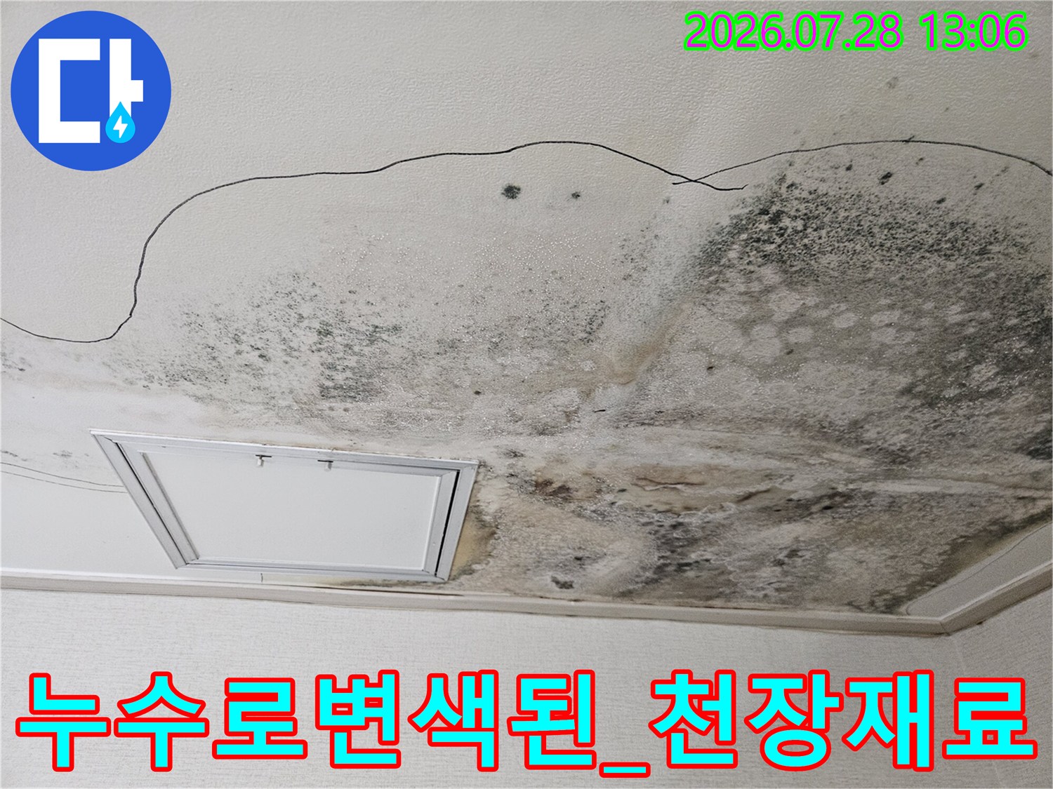 습기로 인해 변색되고 곰팡이가 번진 천장 소재의 모습