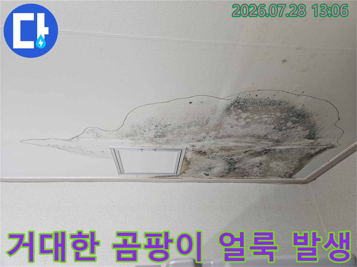 주방 천장 배수관 주변으로 넓게 퍼진 누수의 흔적과 곰팡이 오염막