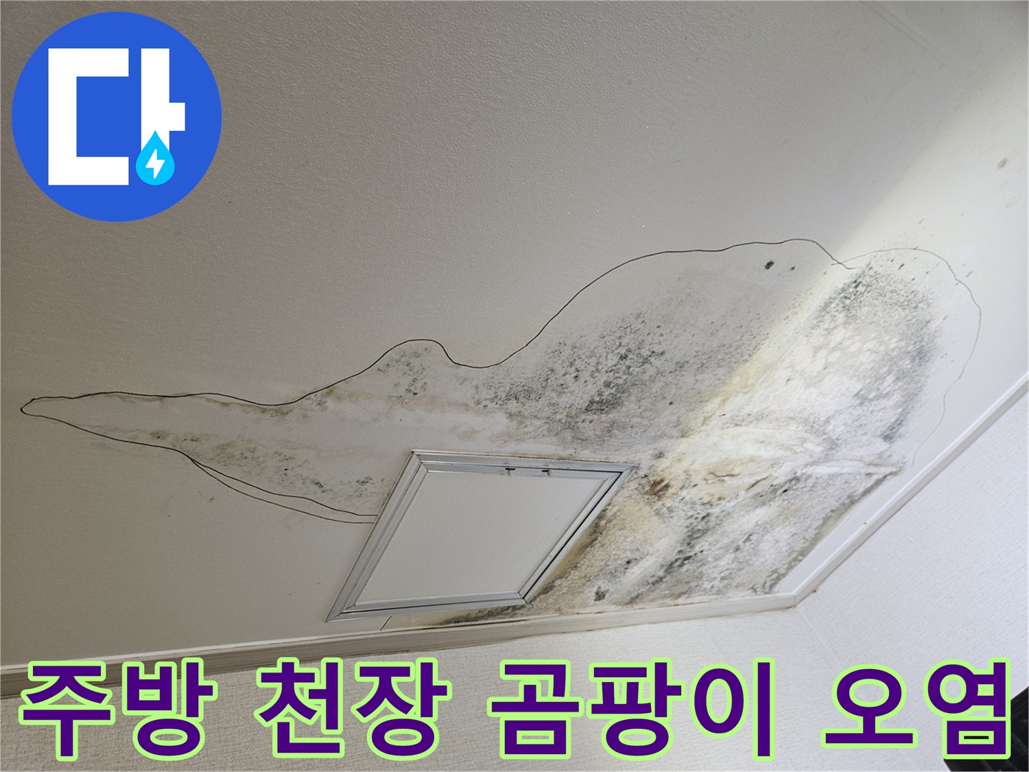 주방 천장 점검구 주변의 넓은 누수 얼룩과 검은 곰팡이