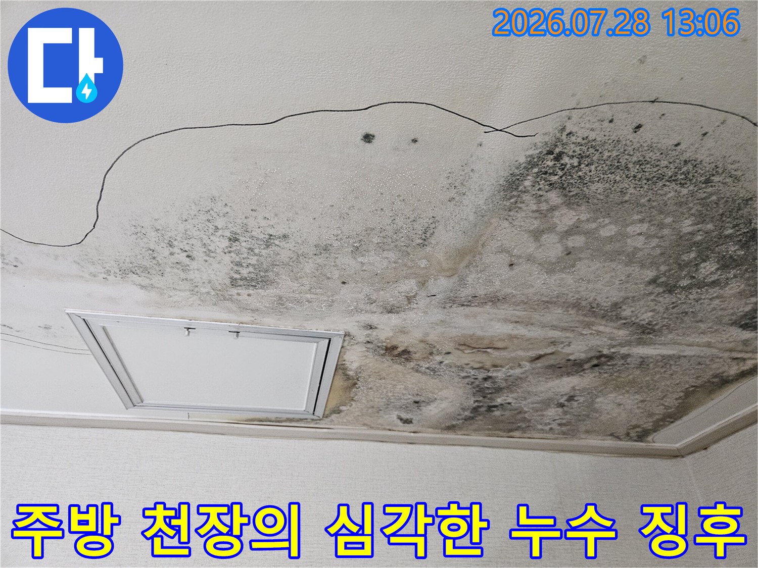 천장 마감재에 발생한 광범위한 검은 곰팡이와 수분 자국