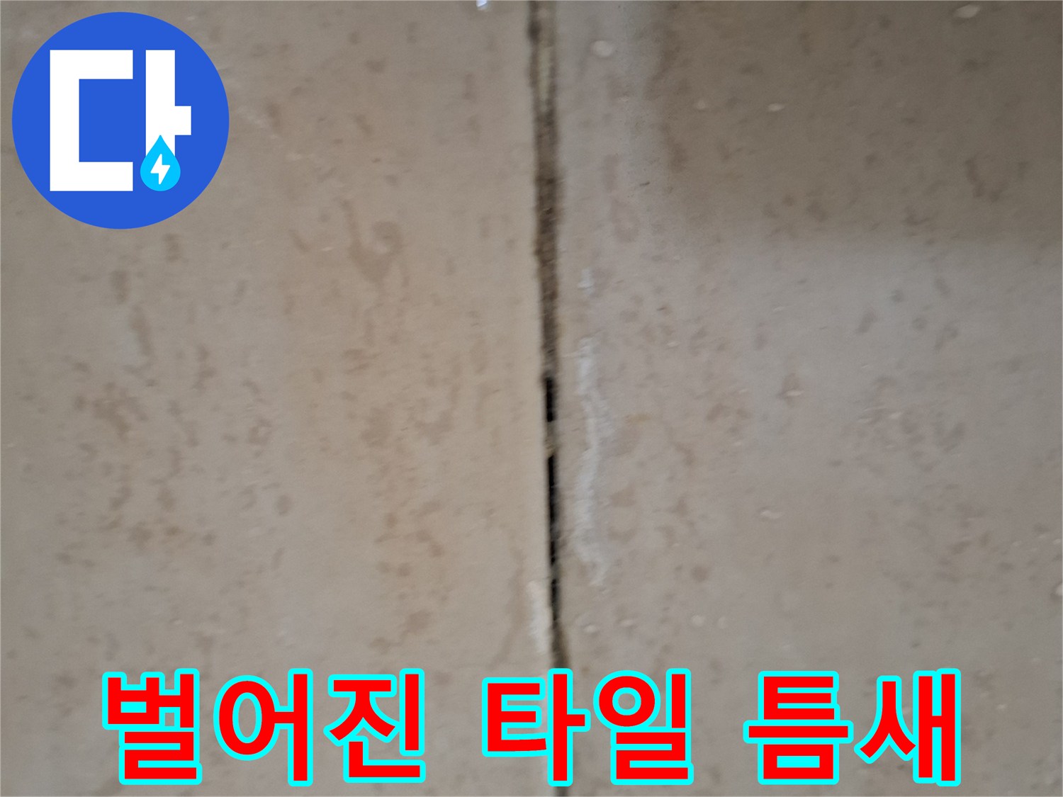 타일 사이의 벌어진 틈새와 탈락된 줄눈 부위를 근접 촬영한 사진입니다.