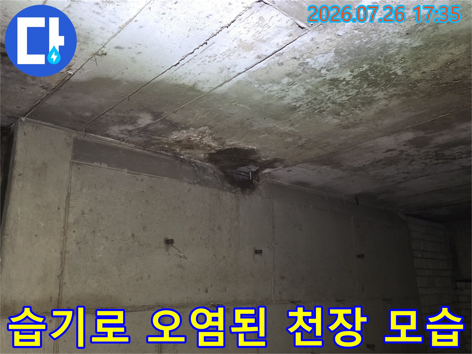 물샘-현상으로-인해-거뭇하게-변색되고-곰팡이가-생긴-천장-콘크리트-면