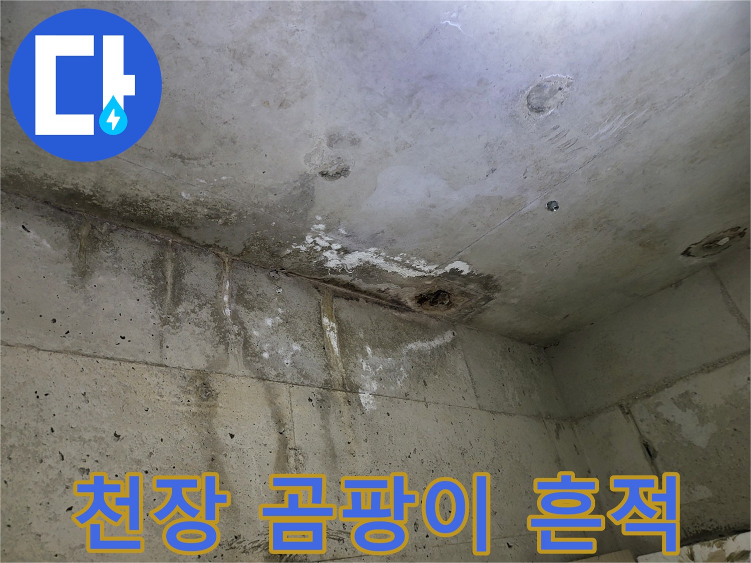 습기로 인해 곰팡이가 번진 화장실 천장 구석 부위