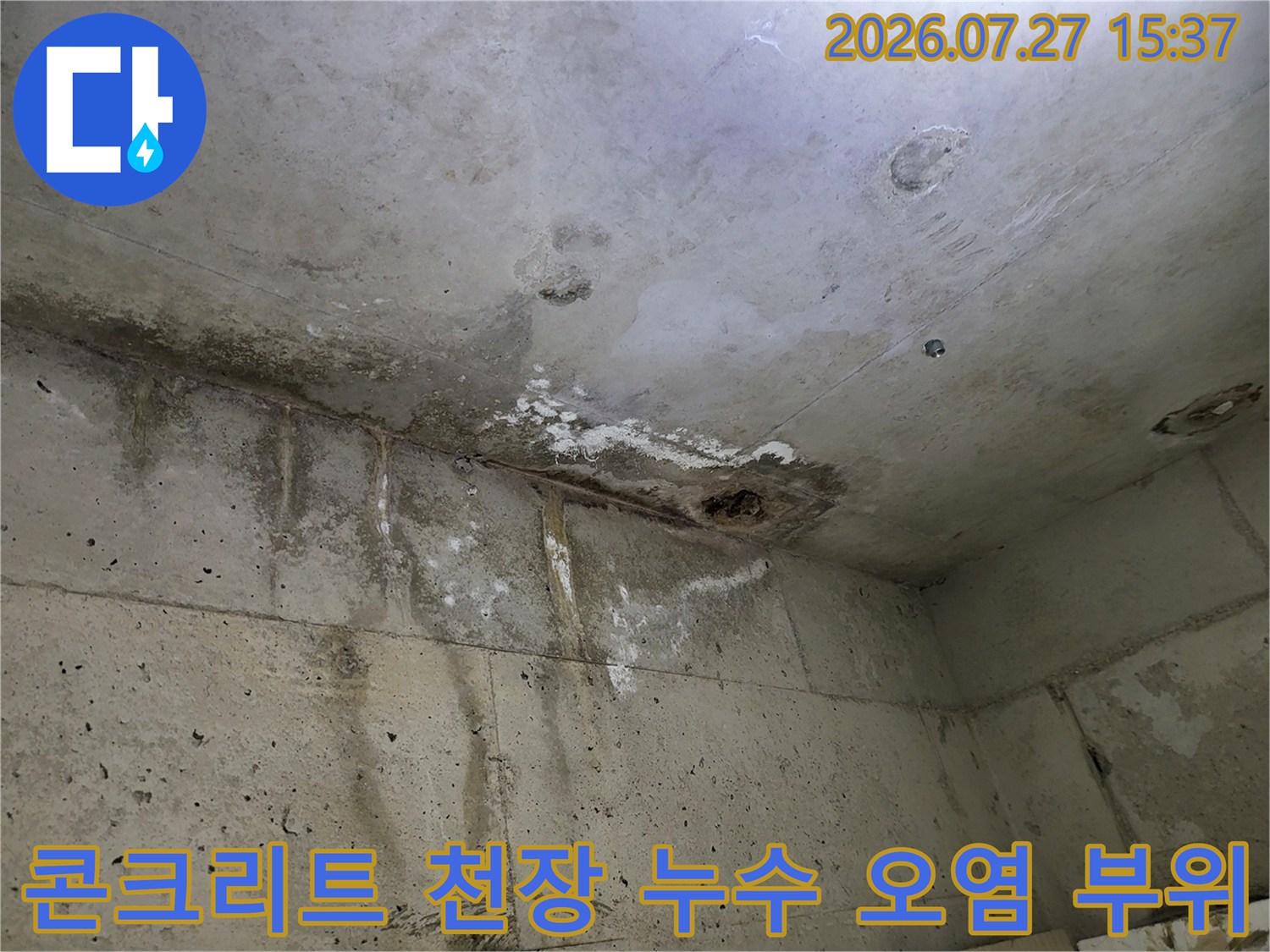 화장실 천장의 콘크리트 면에 발생한-물때와 곰팡이 섞인 누수 흔적