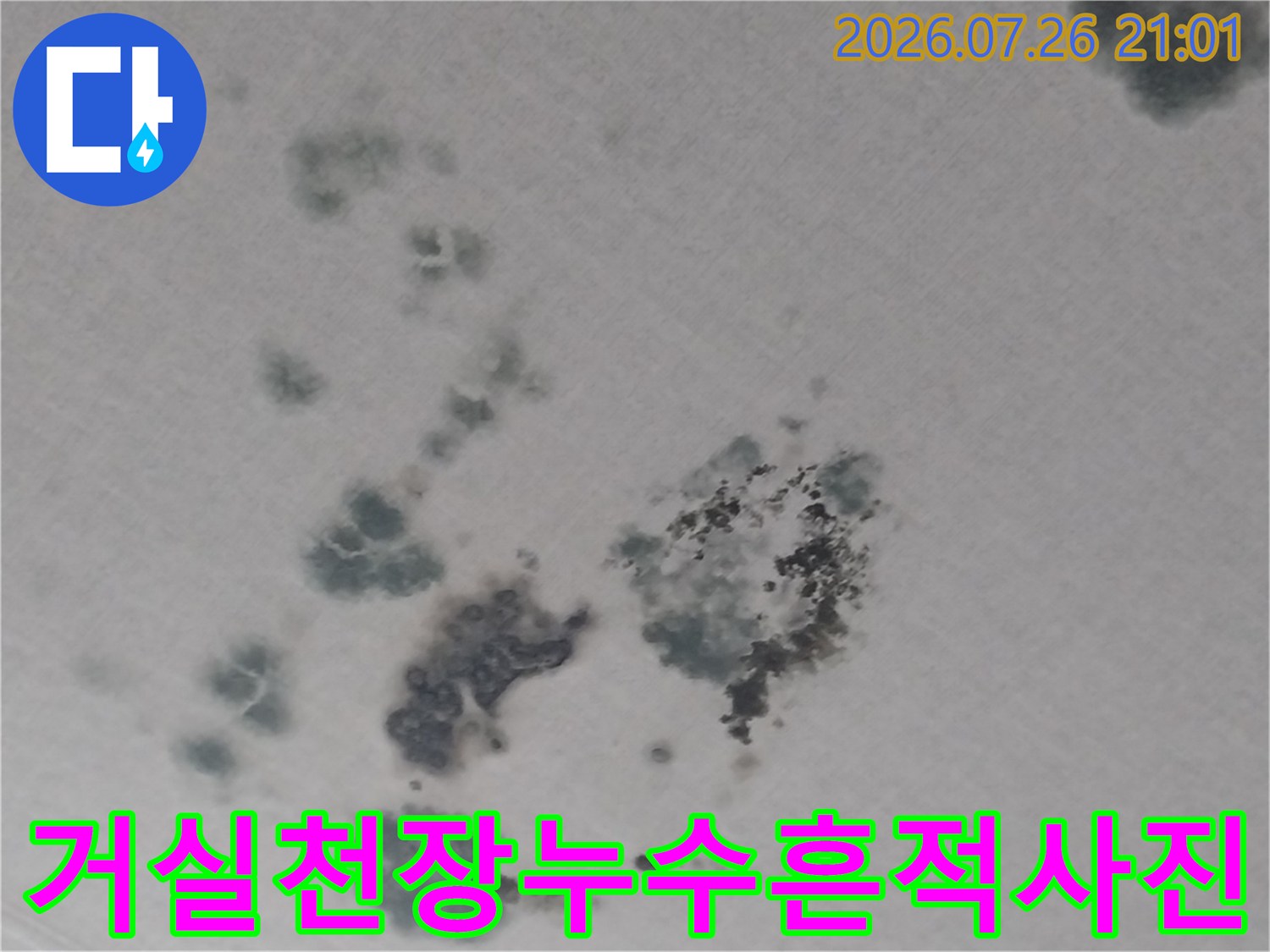 거실 천장에 발생한 누수로 인한 얼룩과 곰팡이 오염 부위