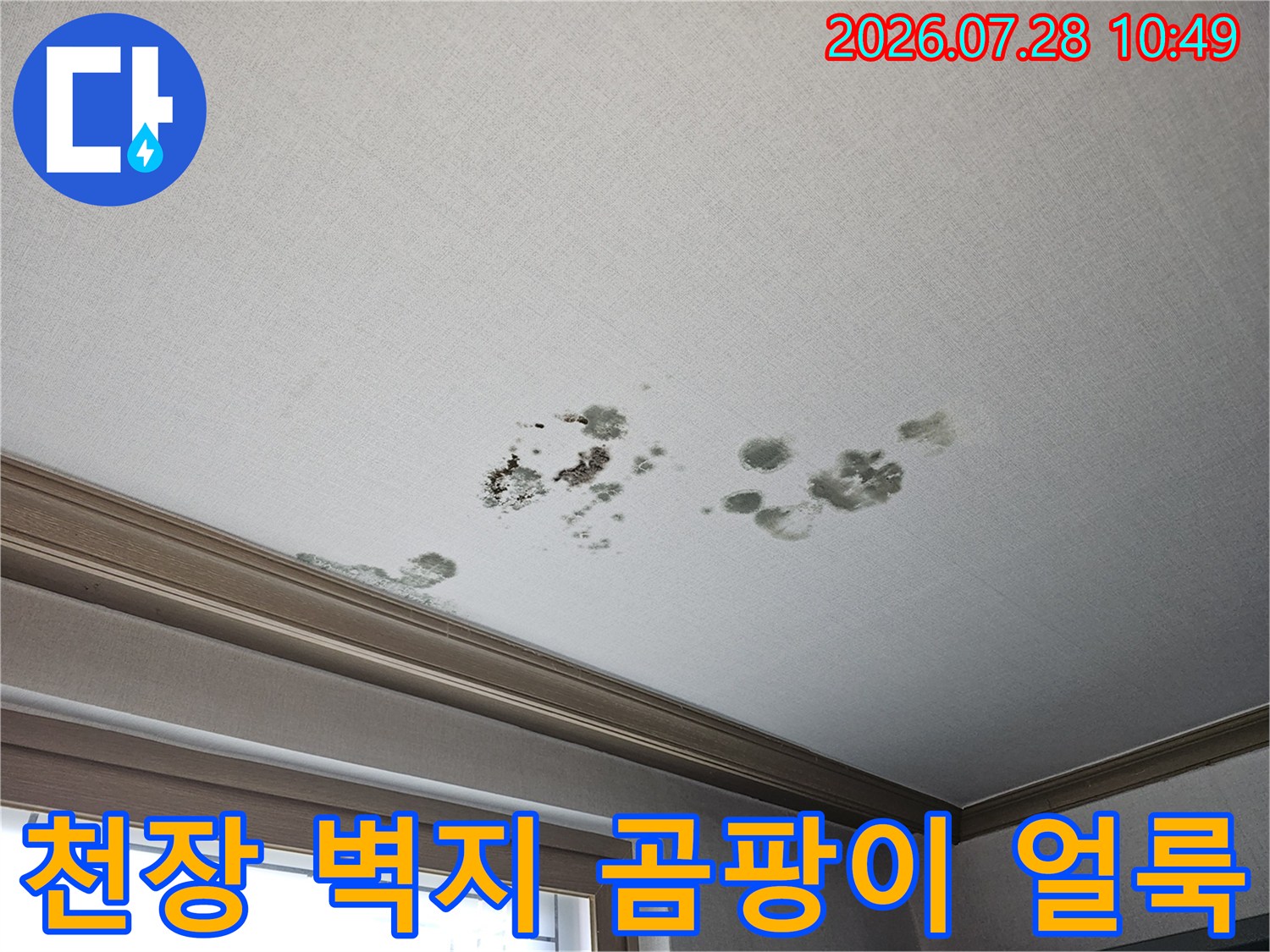 거실 천장의 짙은 색상 누수 흔적과 곰팡이 발생 부위