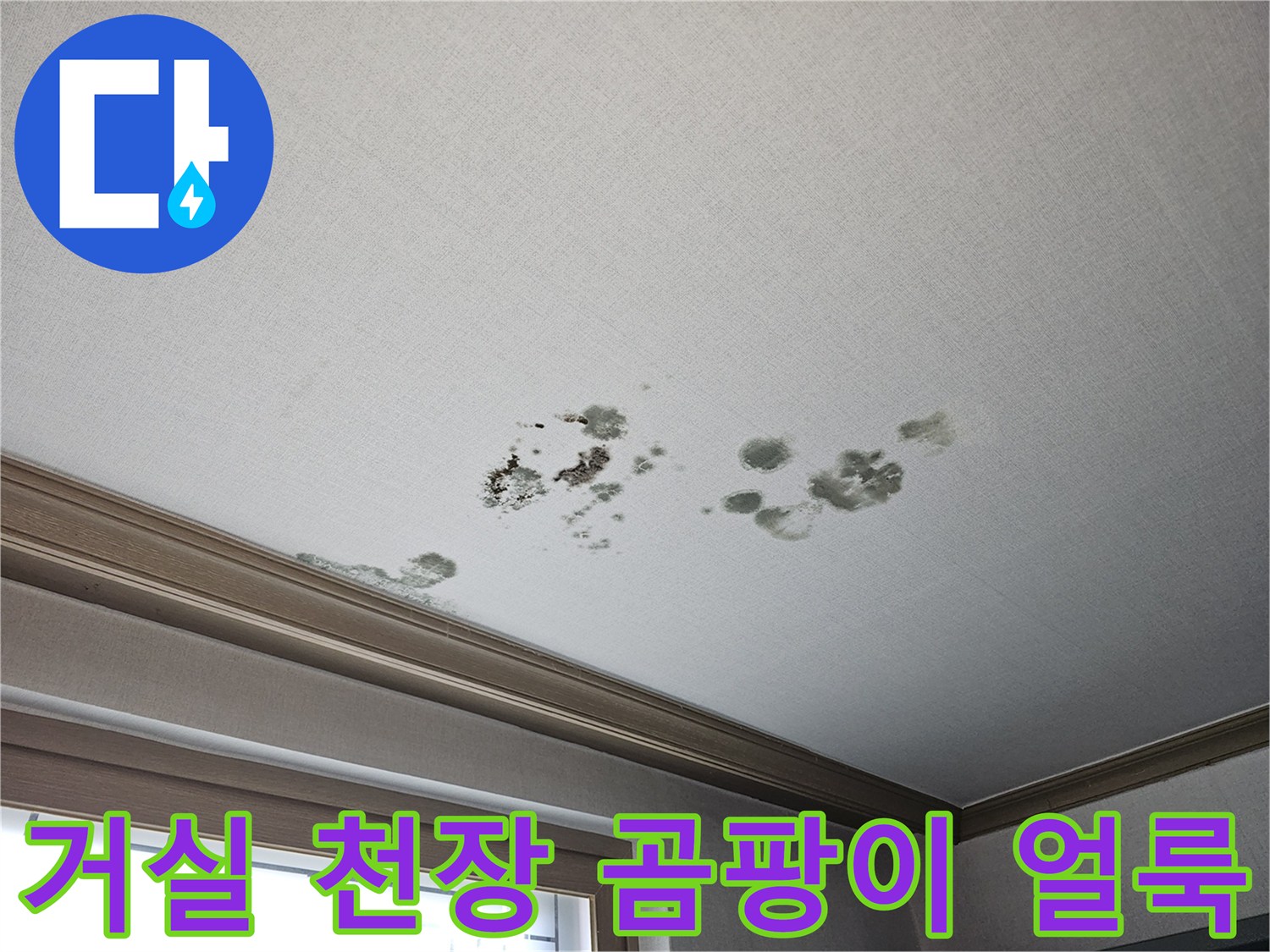 상가주택-2층-거실-천장-벽지-곰팡이-및-물젖음-흔적