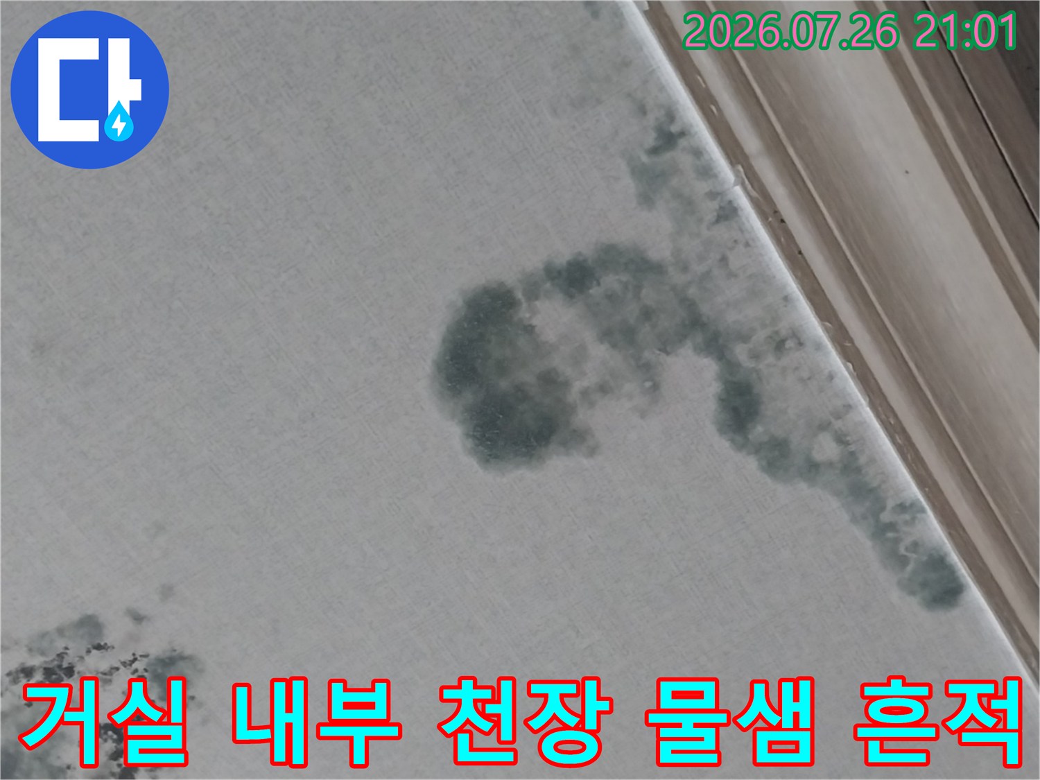 천장 마감재에 발생한 대규모 누수 얼룩과 오염 부위