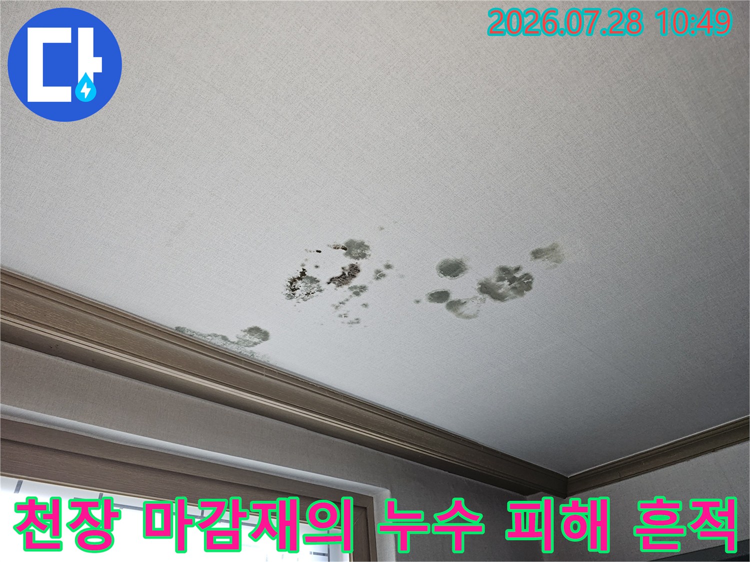 천장 몰딩 주변으로 번진 곰팡이와 물샘 얼룩