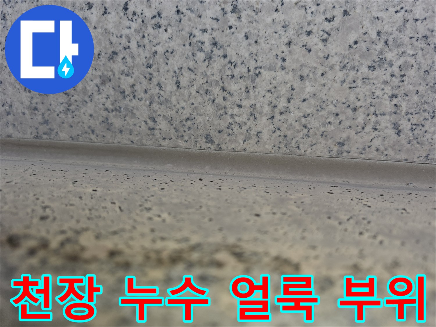화성 동탄 상가주식 천장 벽지 곰팡이와 물젖음 흔적