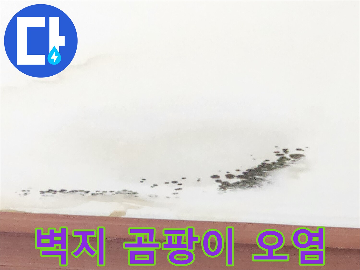 천장 몰딩 부근에 번진 누수 흔적과 곰팡이 발생 모습