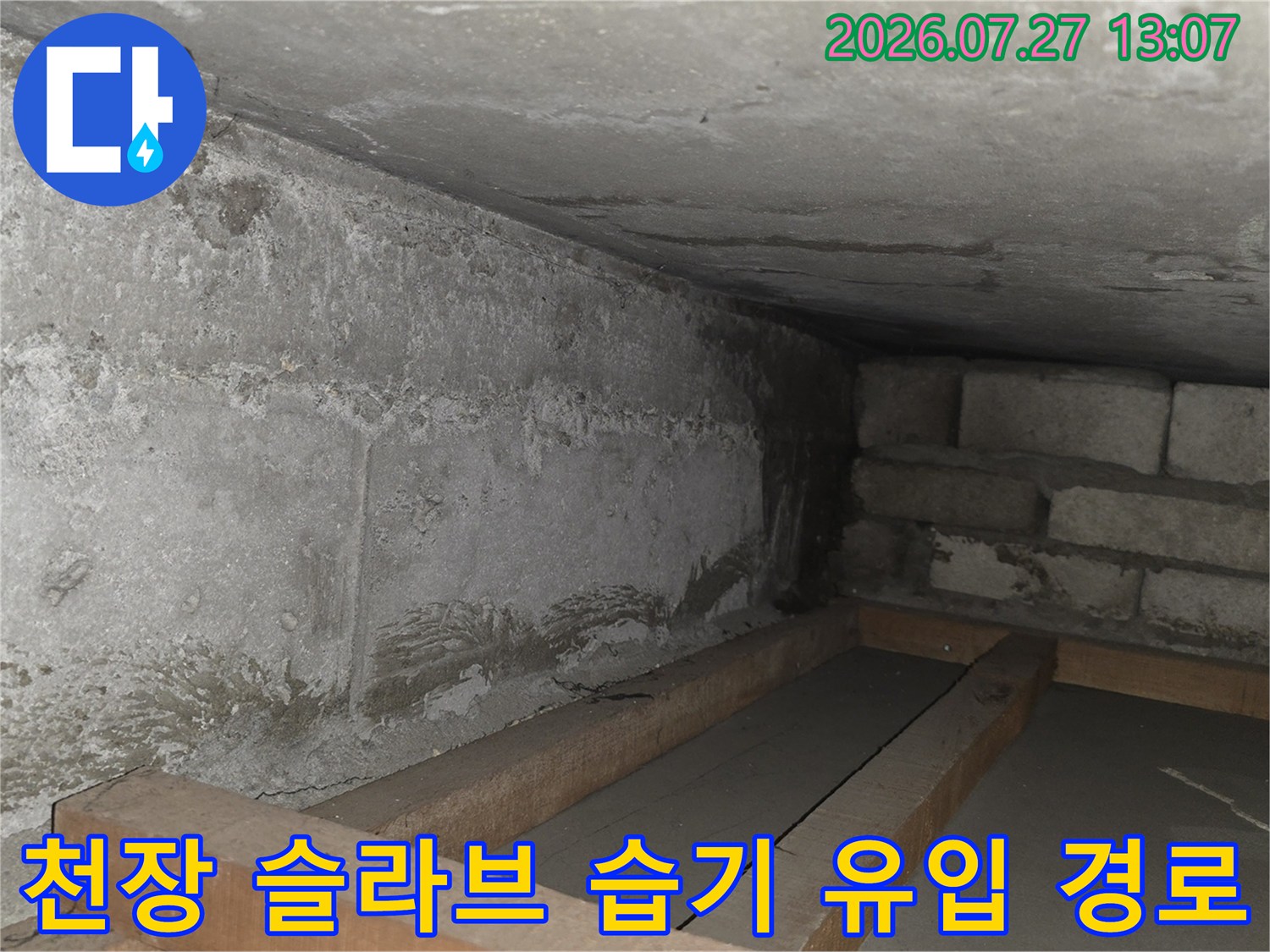 물길이-타고-내려온-콘크리트-벽면과-천장의-경계선