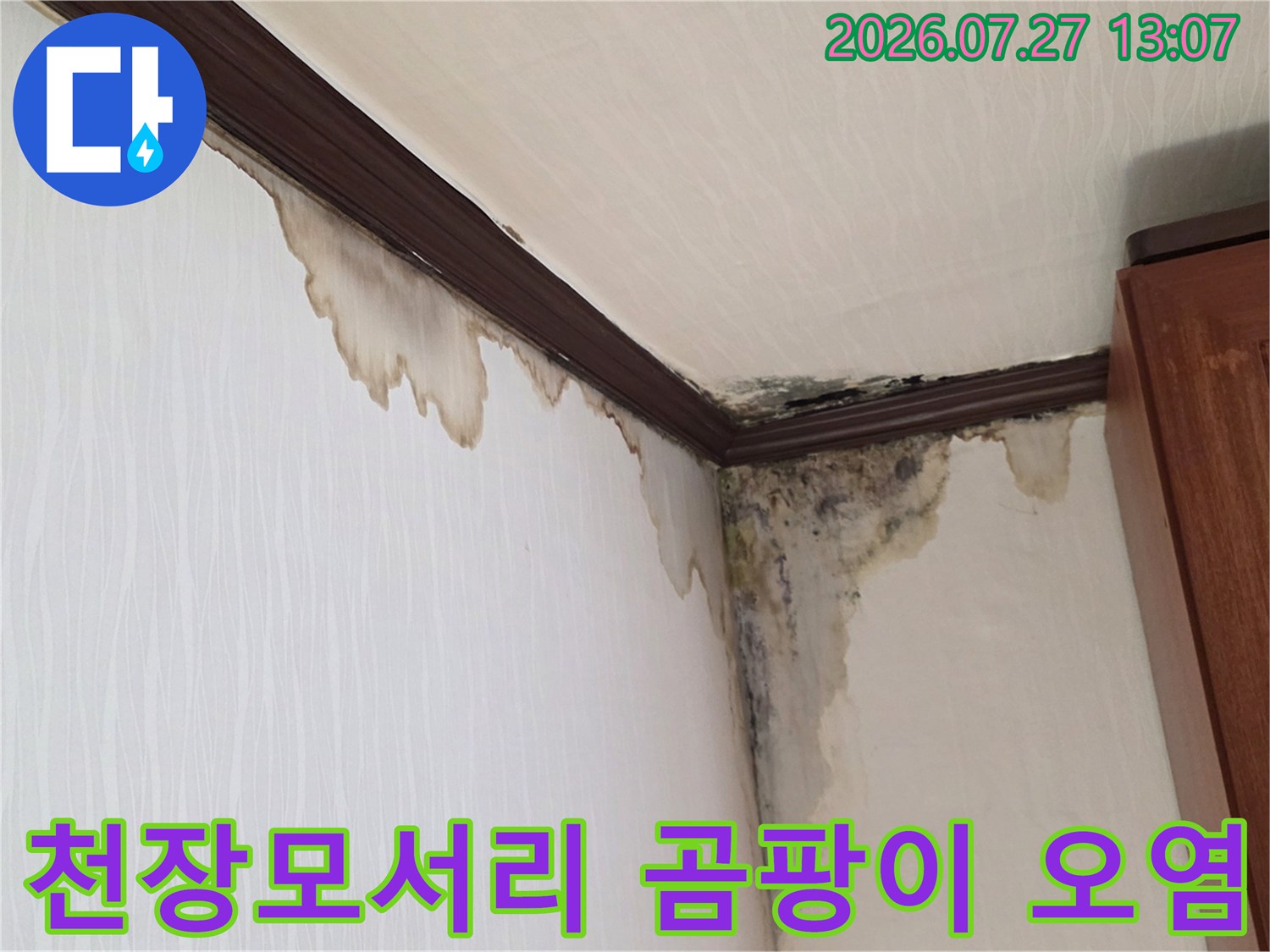 천장과 벽면의 접합부-몰딩 주변으로 누수로 인한 갈색 얼룩과 검은 곰팡이가 번진 모습