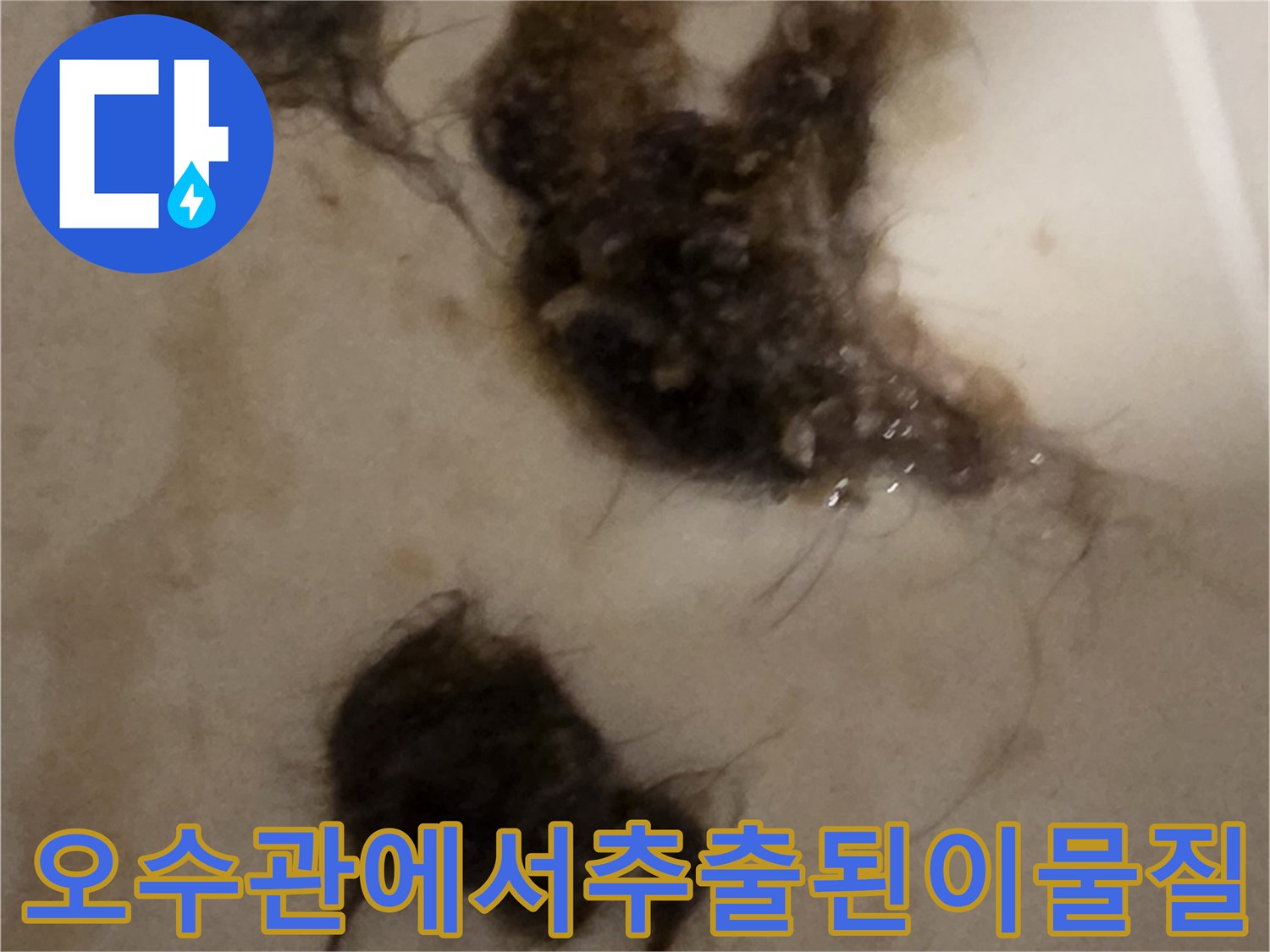 배관-내부-스케일링-작업-중-발견된-머리카락-및-오물