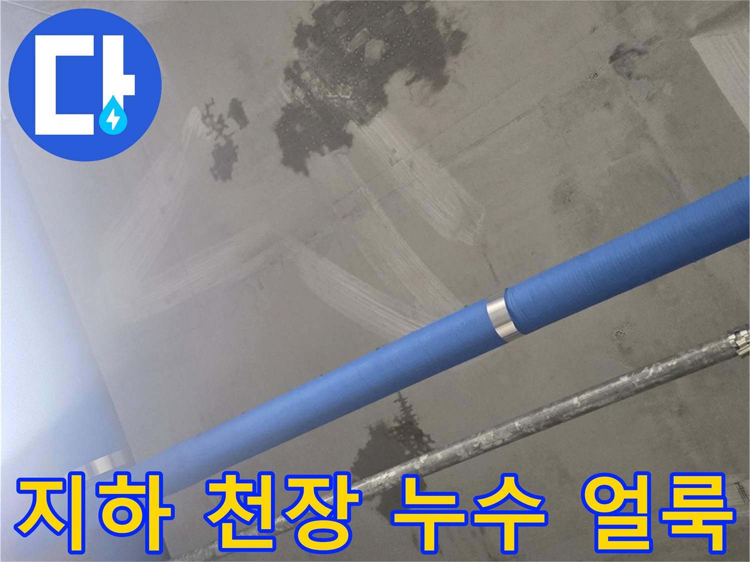 의정후 민락동-식당 지하층 천장에 발생한 어두운 물자국과 배관 상태