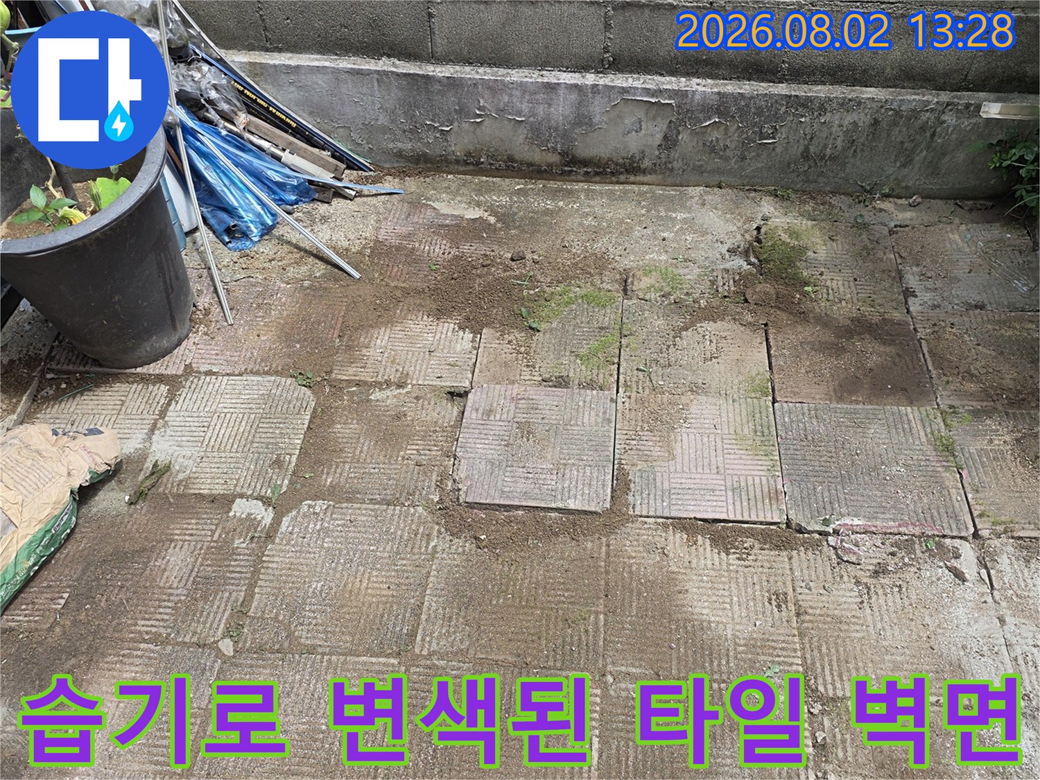 벽면에 습기가 고여 타일 색이 변하고 곰팡이가 생긴 현장 사진