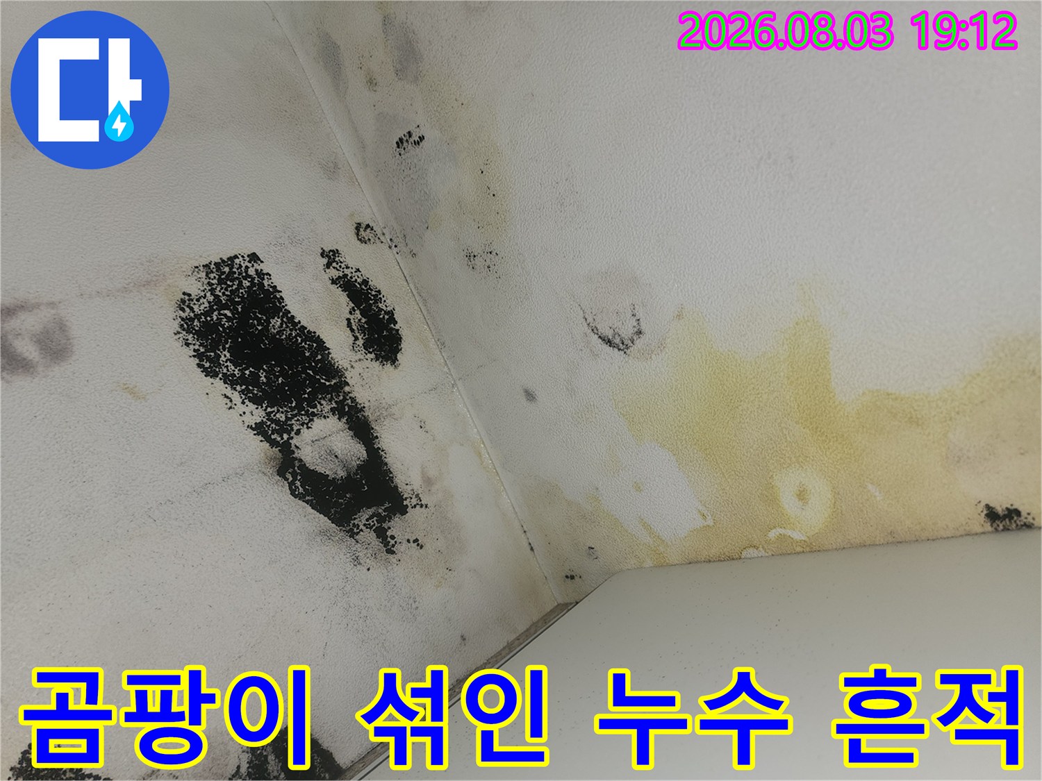 화장실 천장의 노란 얼룩과 검은 곰팡이가 혼재된 모습