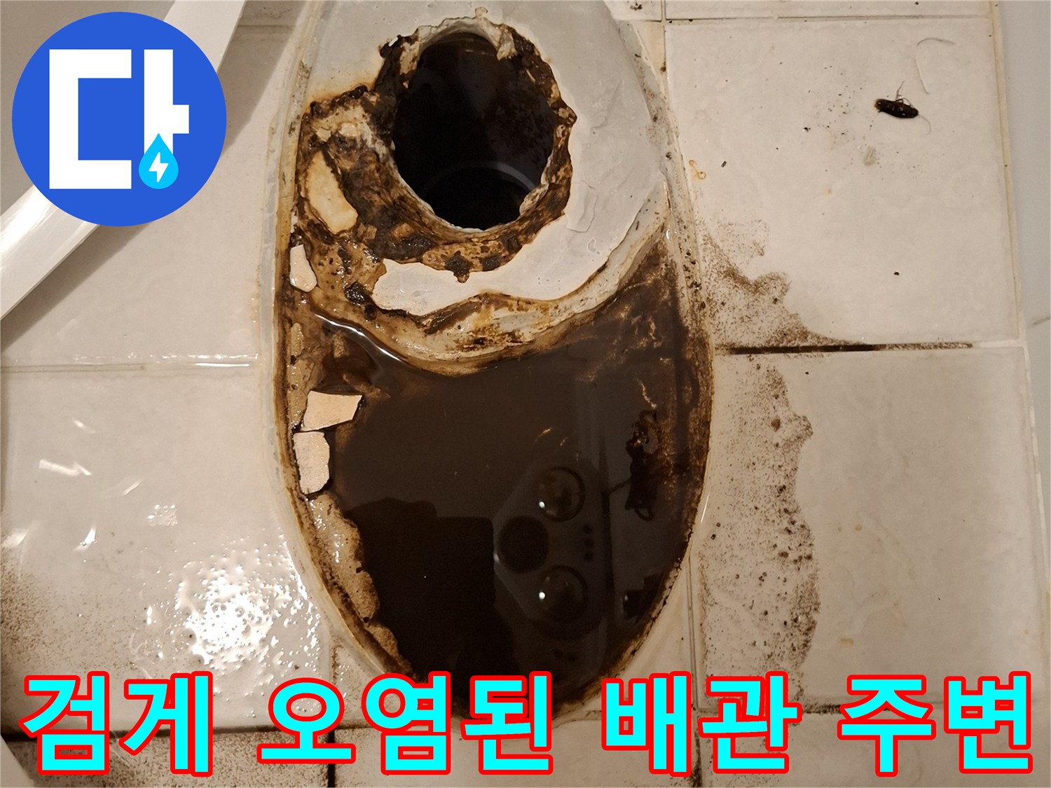 누수로 인해 검은색으로 변색되고 오염된 변기 배관 주변부