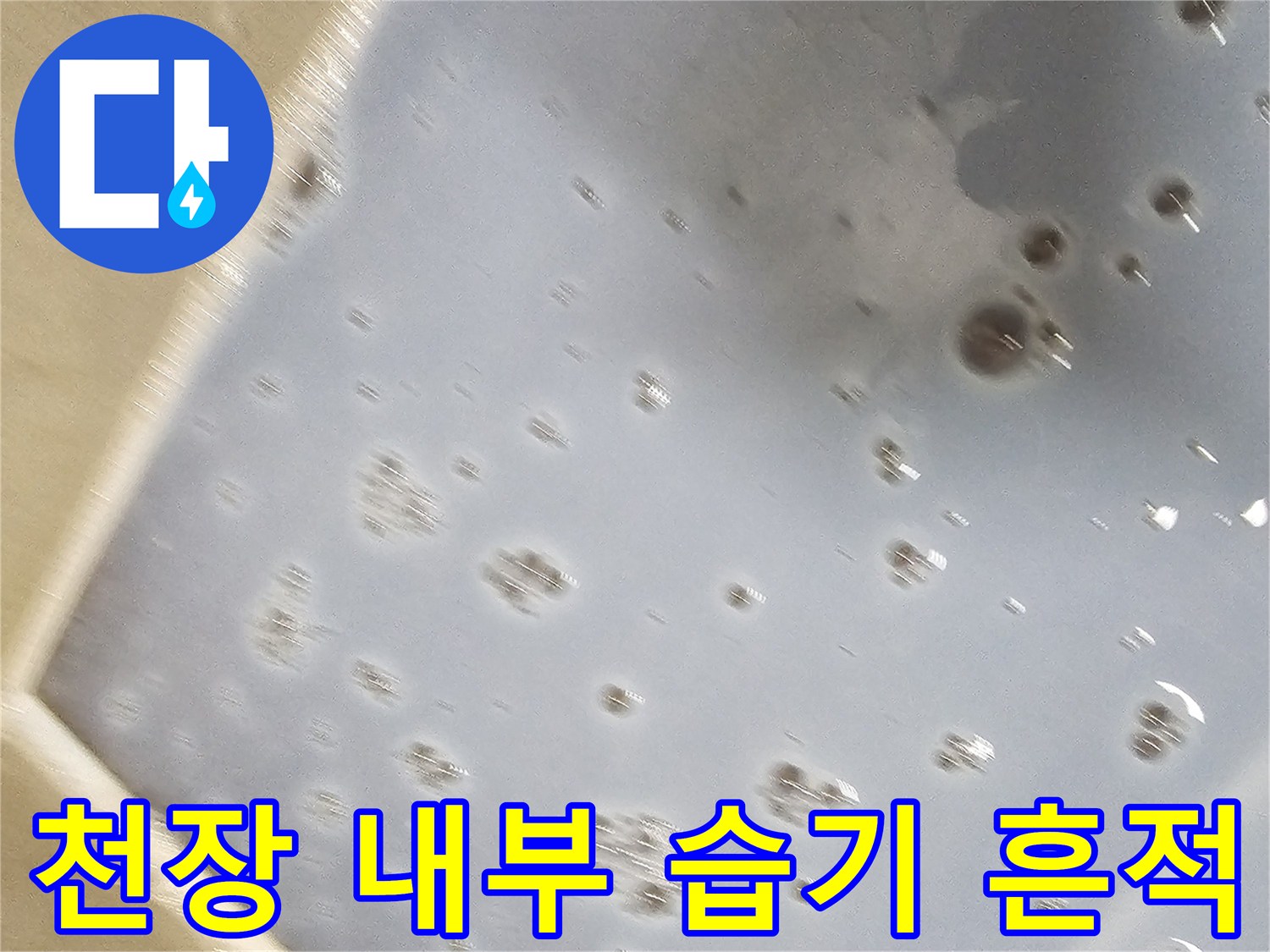 배관 주변의 젖은 흔적과 오염된 천장 표면
