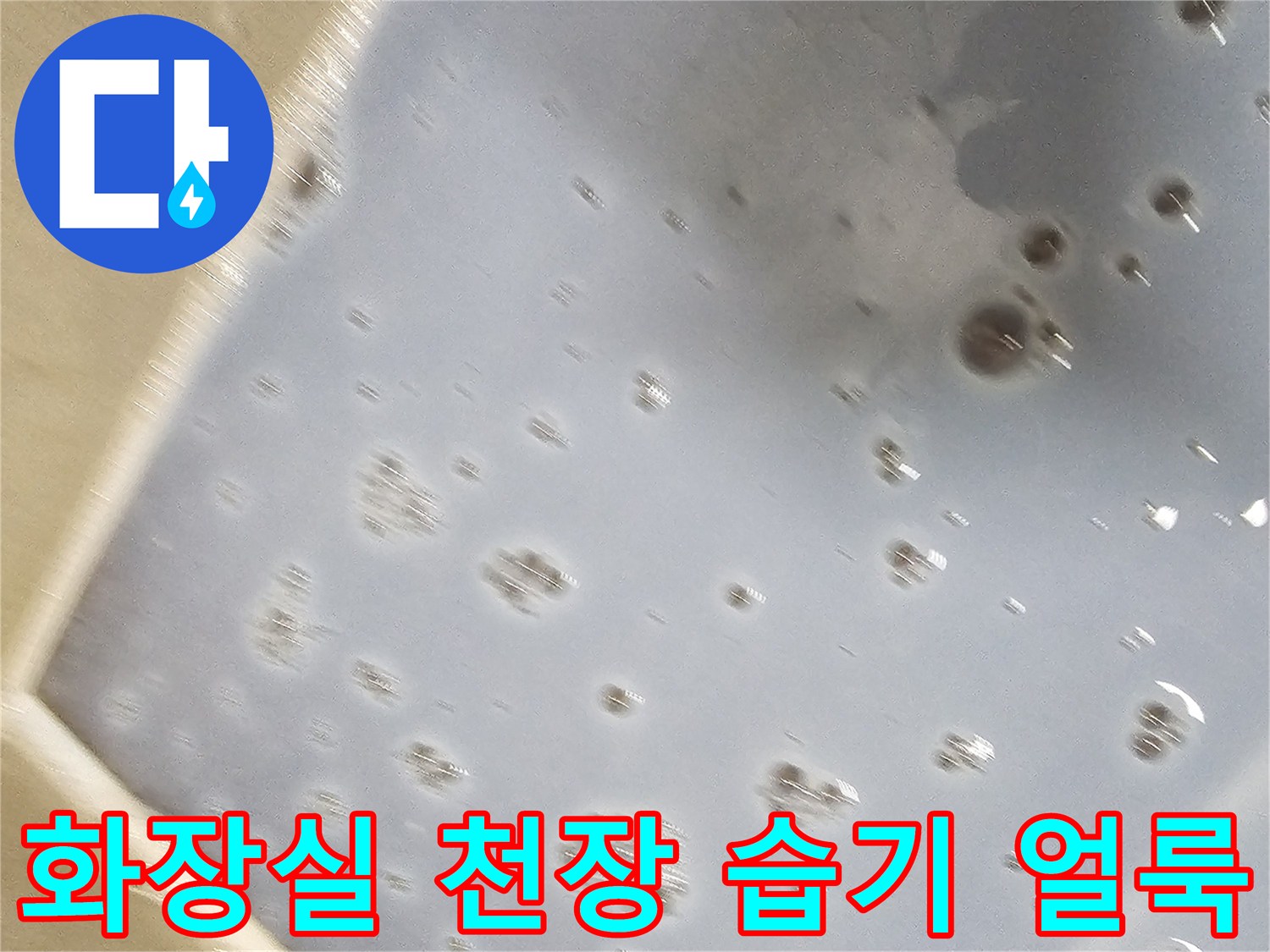 아랫집 화장실 점검구 내부-천장 슬라브의 습기와 물자국