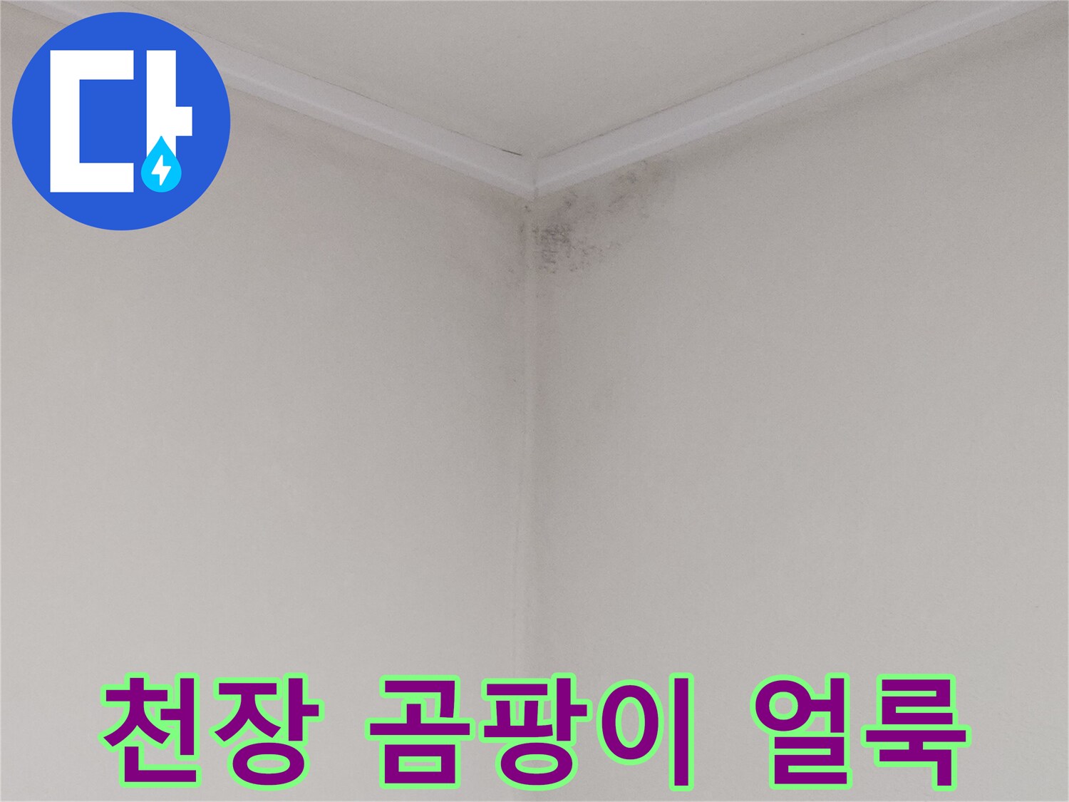 아파트 화장실 천장 코너 부근에 발생한 검은색 곰팡이와 물자국 현상