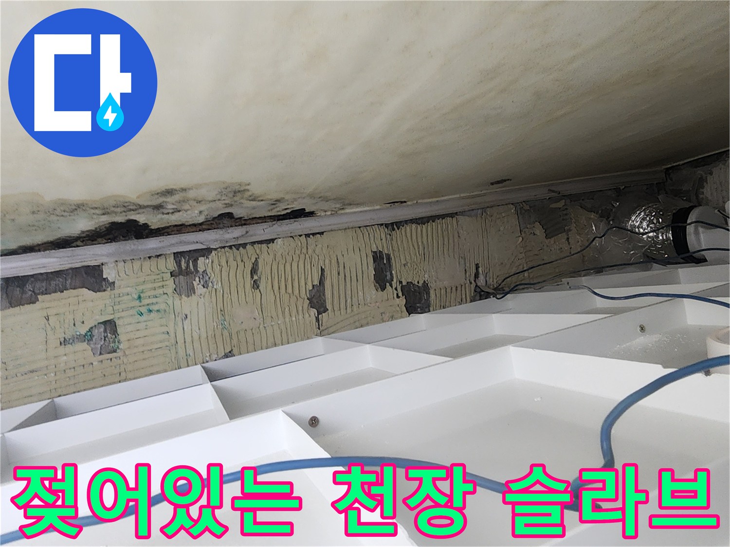 화장실 천장부위-물에 젖어 변색된 콘크리트와 오염된 상태