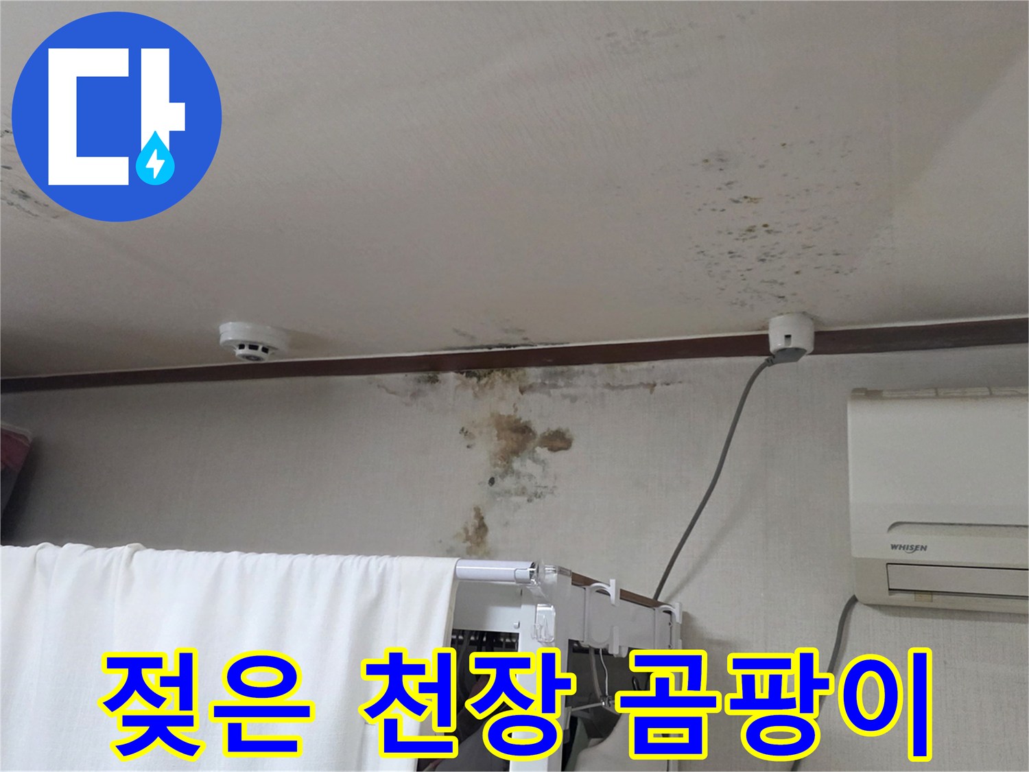 누수 피해 현장-천장 마감재에 나타난 곰팡이와 얼룩