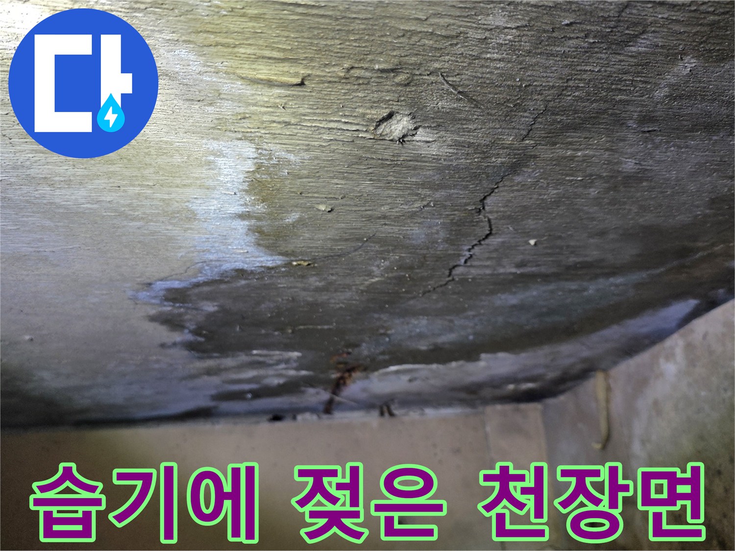 물샘 현상이 발생한-아파트 천장 콘크리트의 젖은 부위