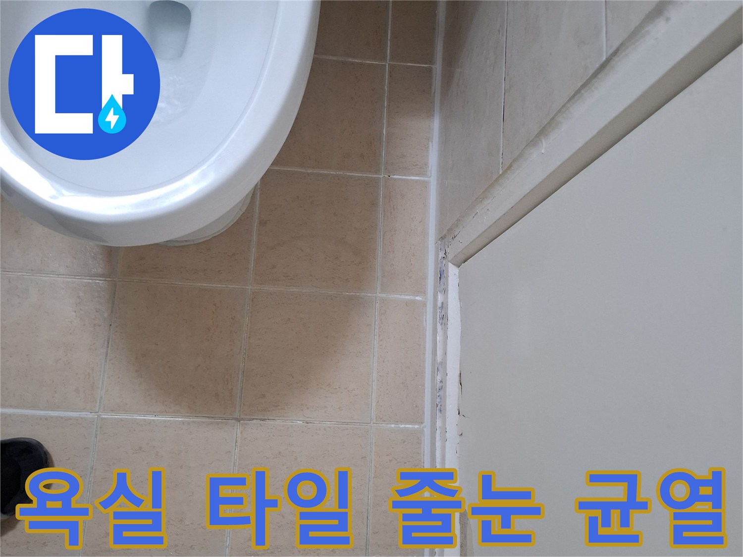 욕실-타일-사이의-벌어진-틈과-균열-상태-사진