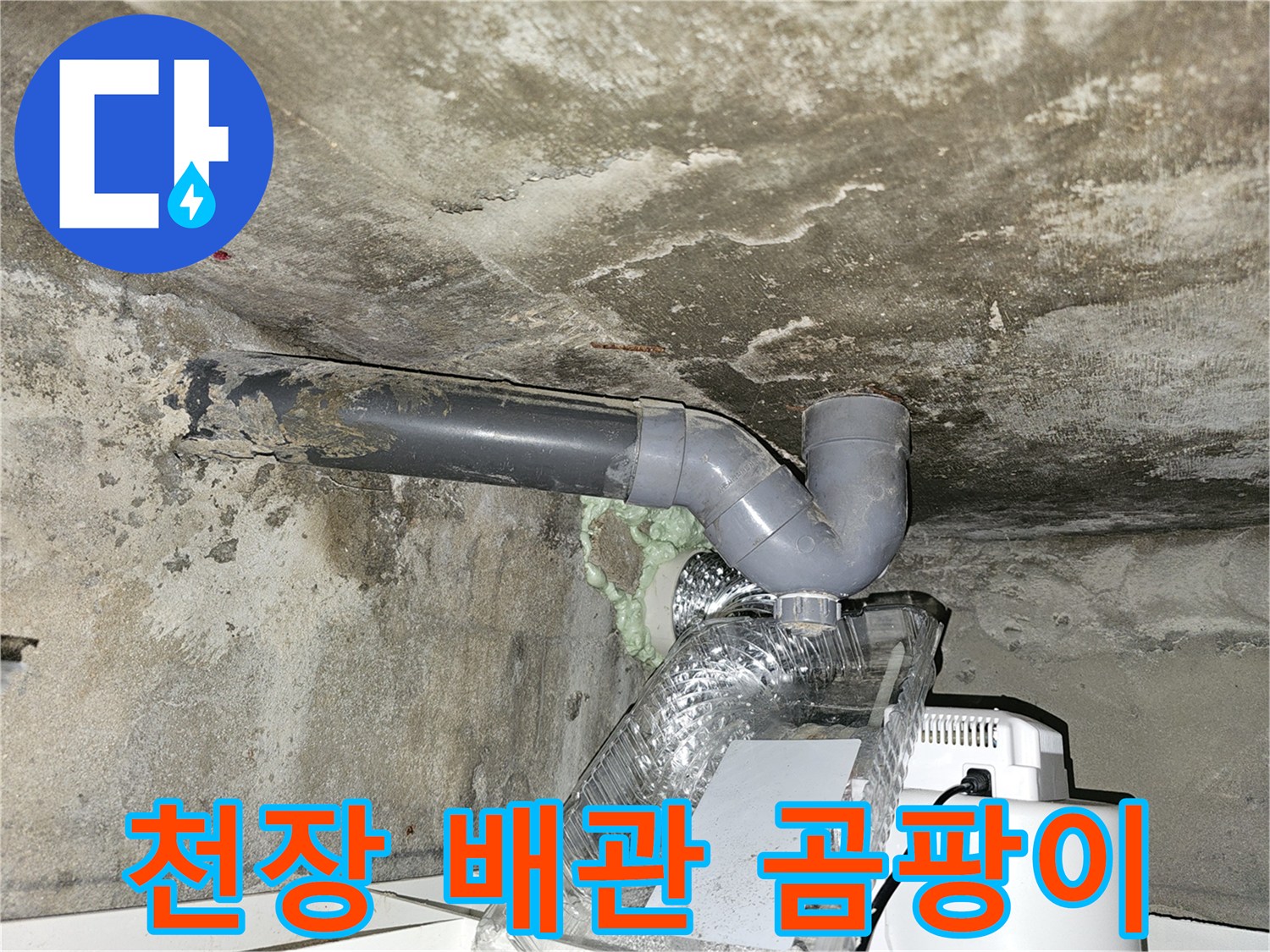 천장 하수 배관 주위의 젖은 흔적과 곰팡이 발생 상태