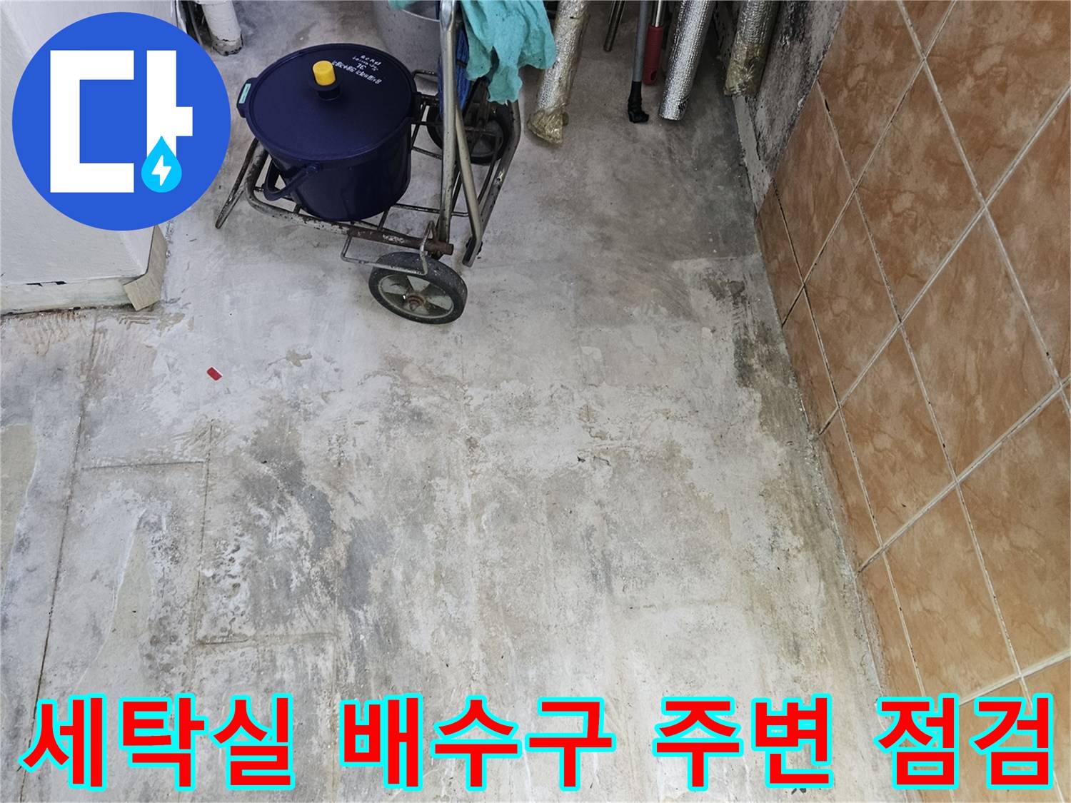 성북구 아파트 세탁실-배수구 호스와 벽면 타일 상태 확인 중