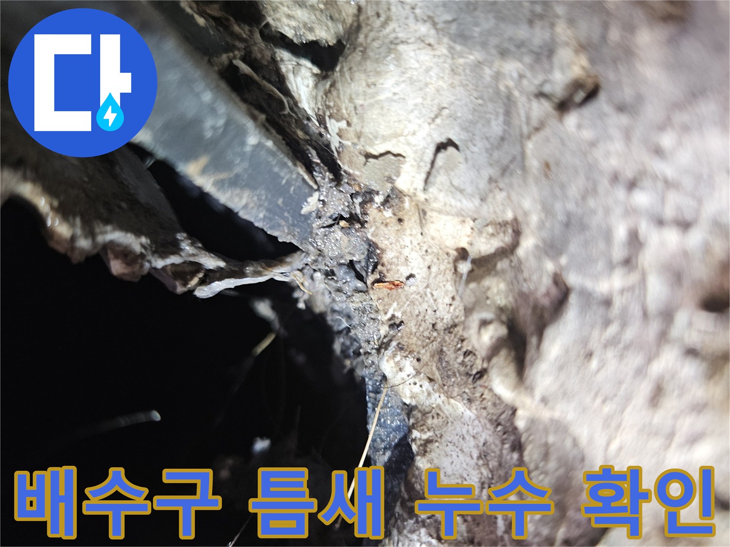 세탁실-배수구-유가-주변의-누수-발생-지점-근접 촬영