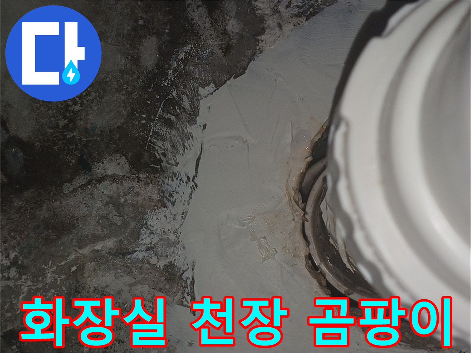 인천 남동구 화장실 천장 배관 주변의 곰팡이와 물자국 상태