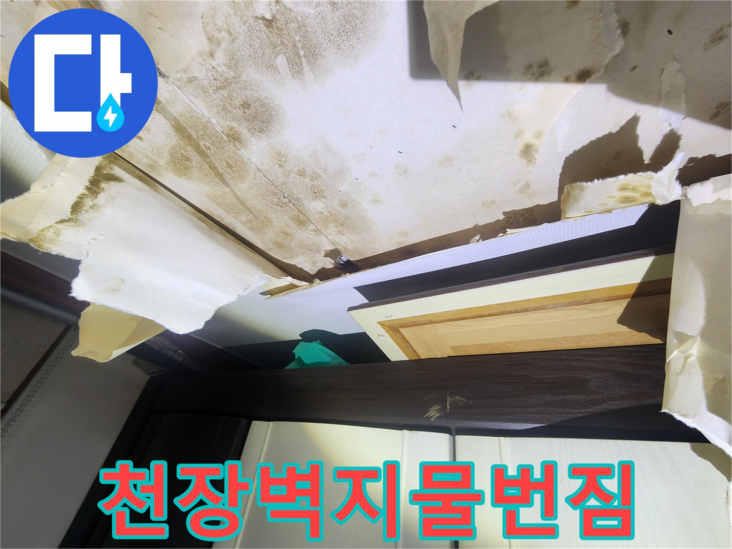 중랑구-면목동-거실-천장-벽지의-심한-물번짐-및-얼룩
