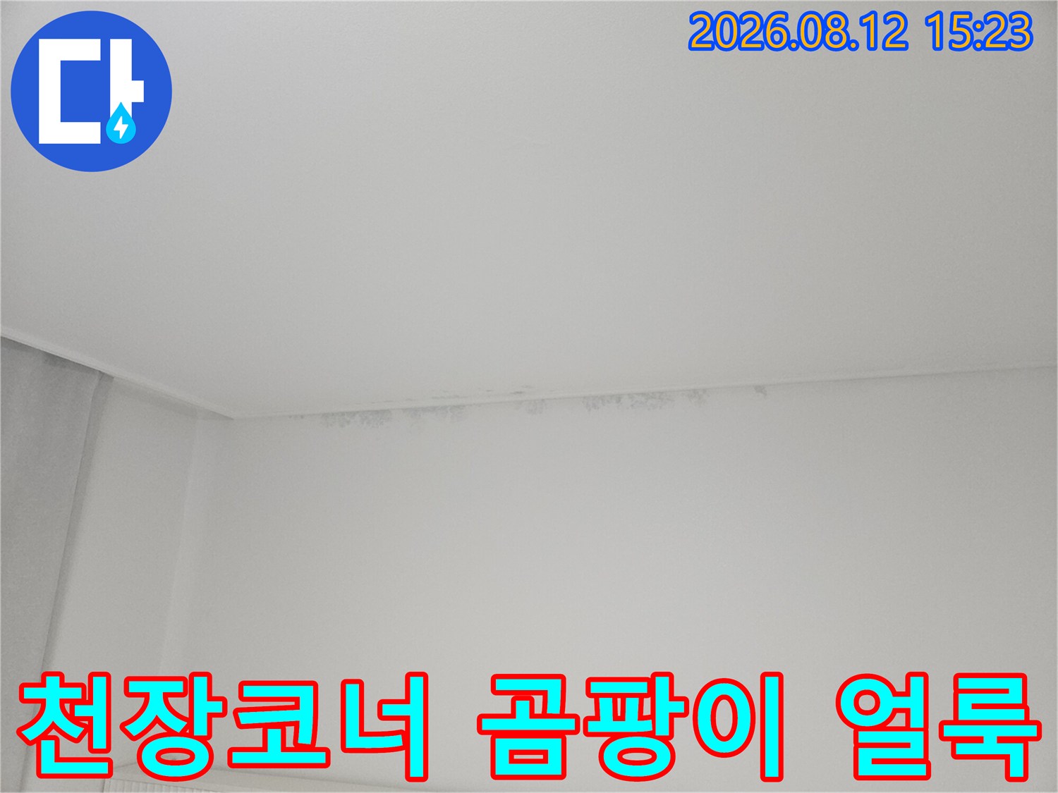 아파트-안방-천장-모서리-부분에-발생한-누수-얼룩과-곰팡이-상태