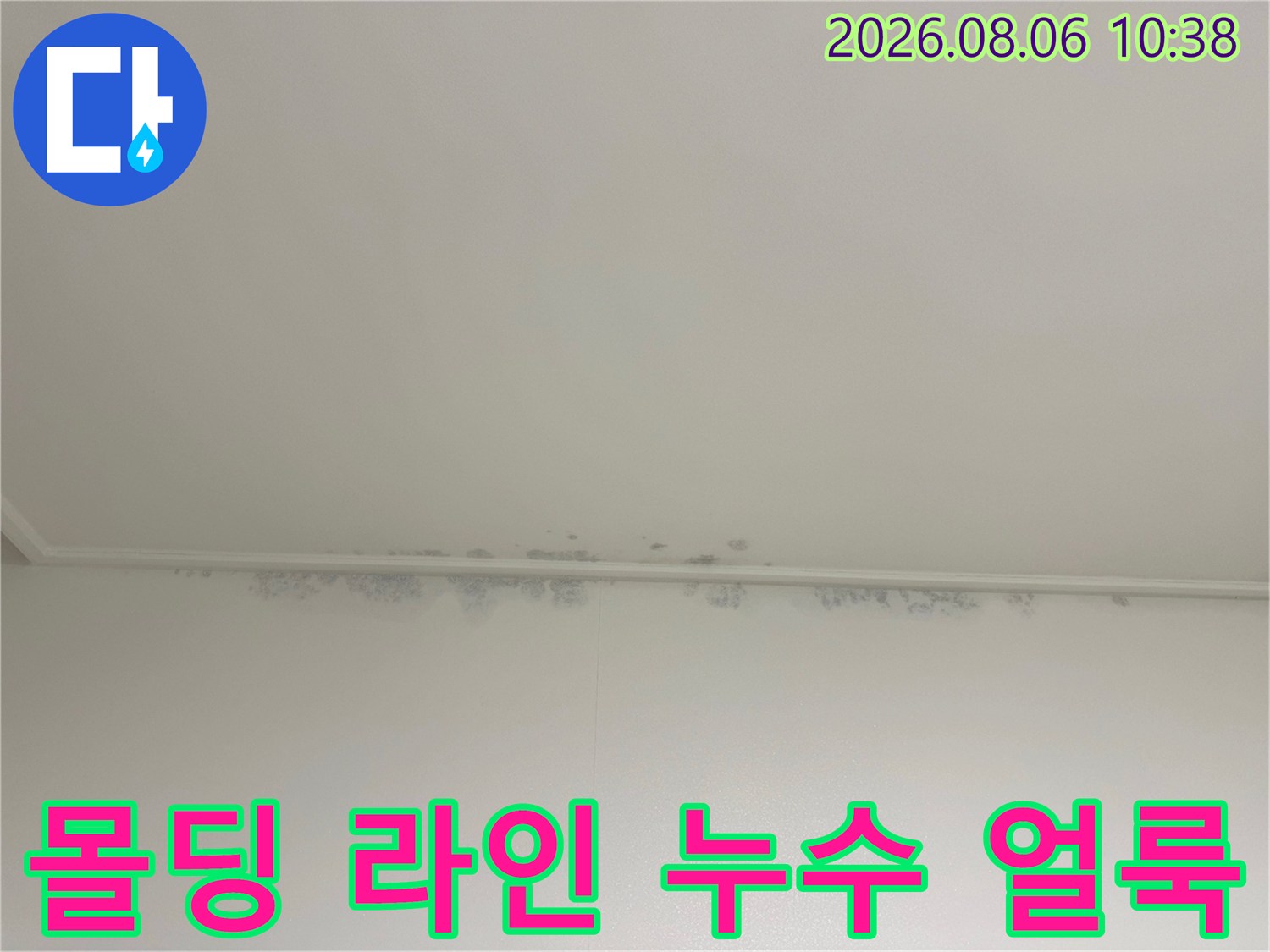 천장 몰딩과 벽면 사이의 경계에 형성된 어두운 색상의 누수 오염 구역