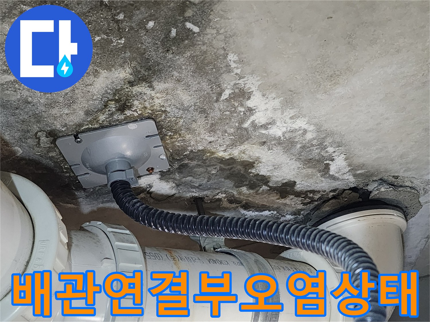 덕양구 현장의-배수 호스 연결 부위 주변의 습기와 오염된 벽면