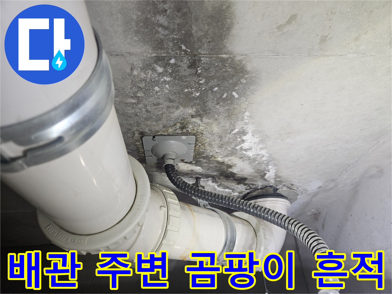 배관과 콘크리트 접합부의 곰팡이 발생 상태