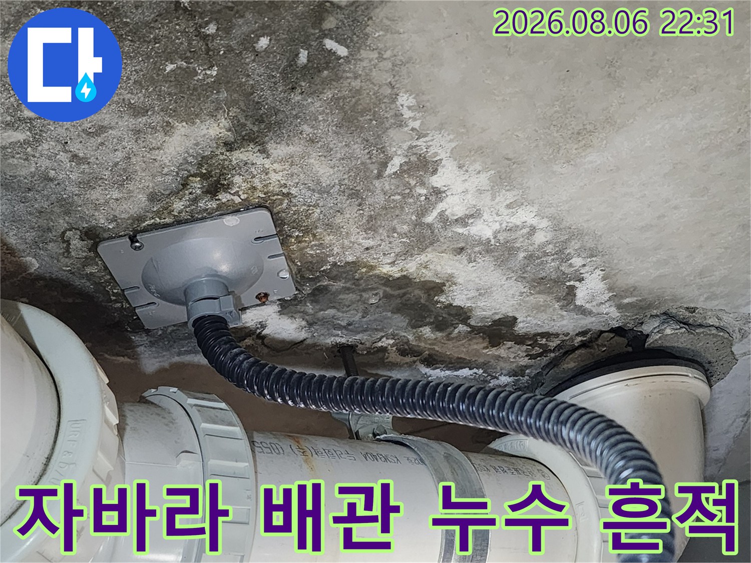 주름진 자바라 배관과 주변의 젖은 콘크리트 구조물 상세 모습