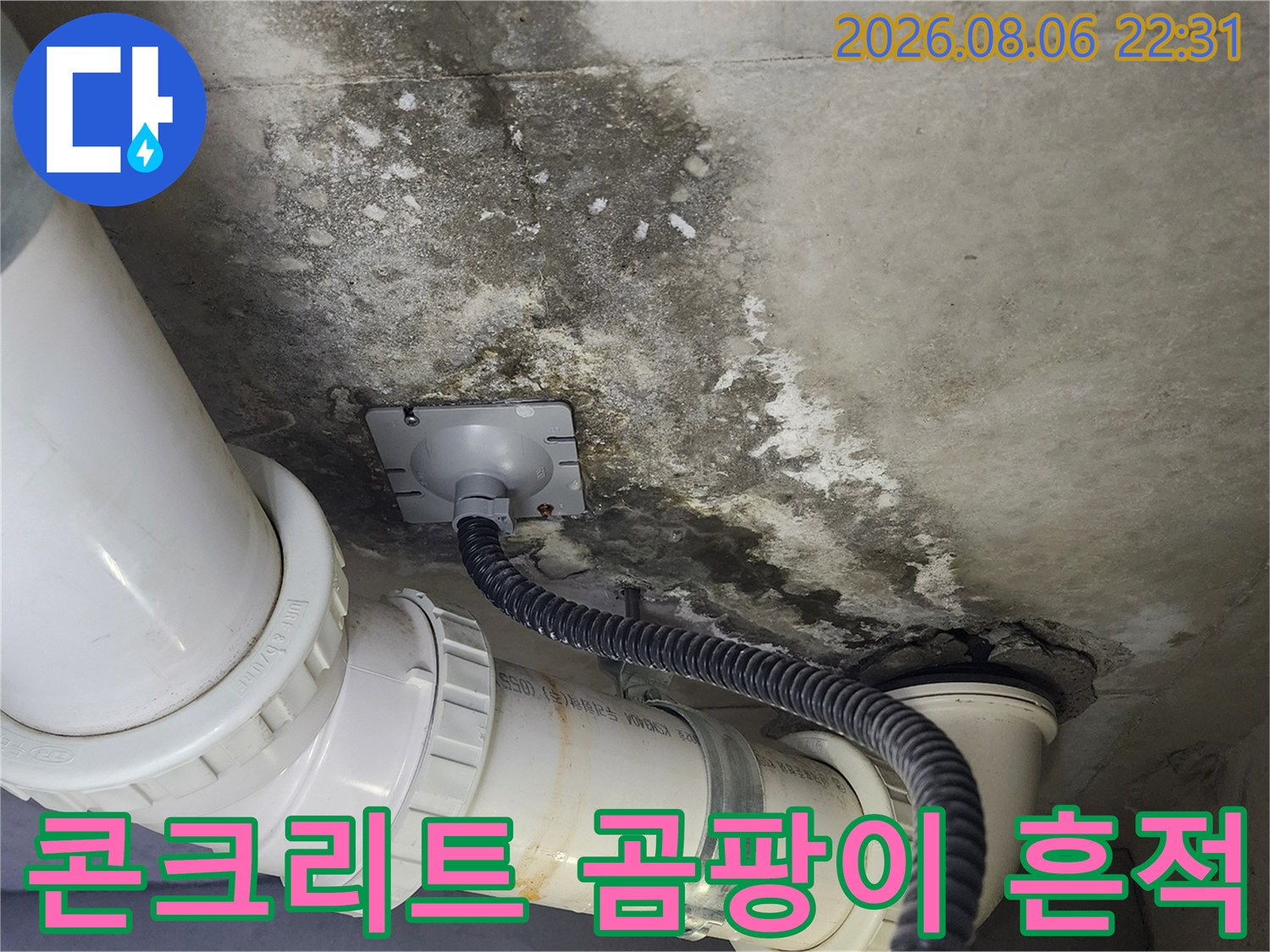 천장 콘크리트-습기로 인한 곰팡이와 오염 부위