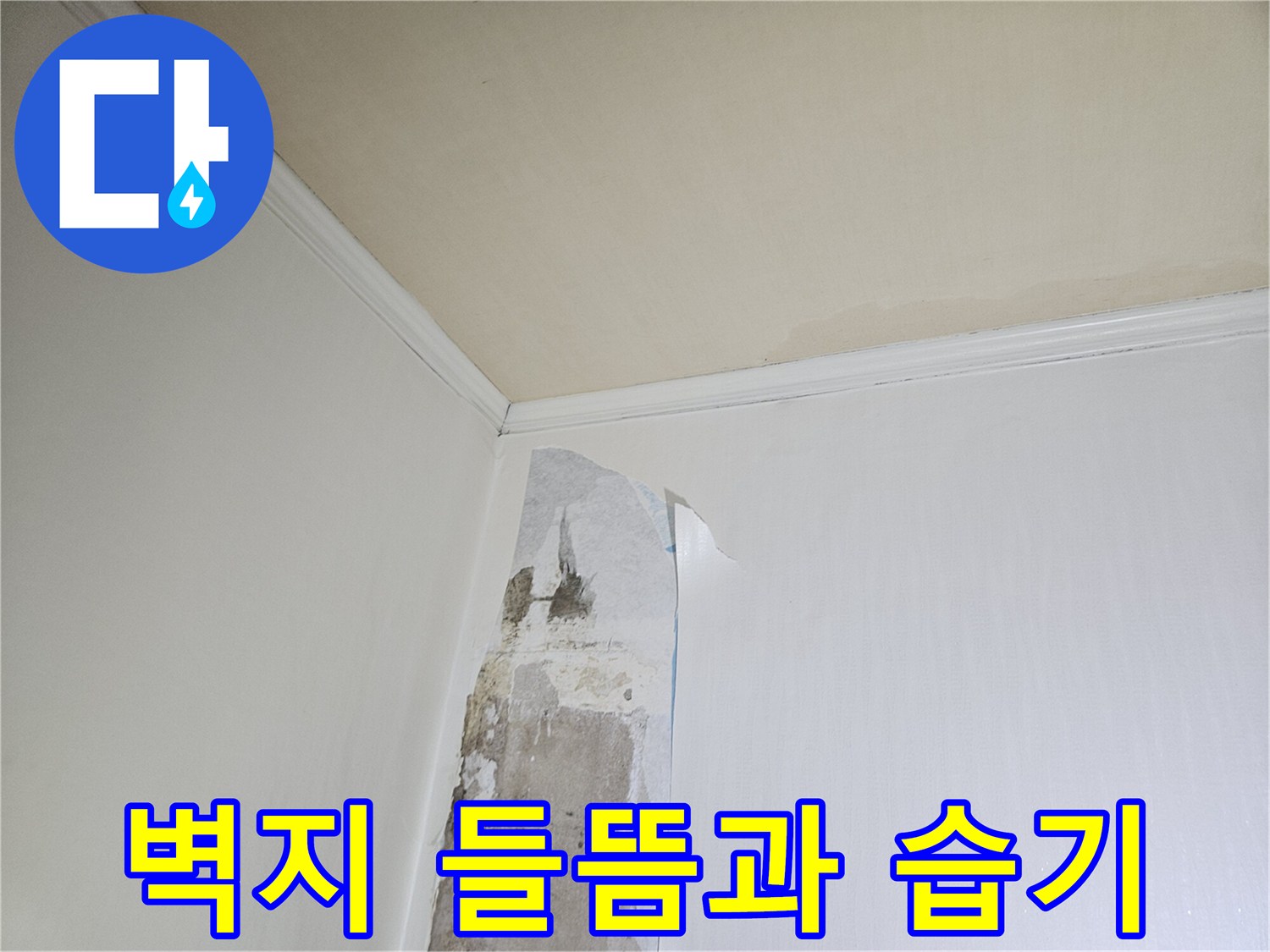 일산동구 아파트 벽면의 도배지가 들뜨고 습기가 찬 상태