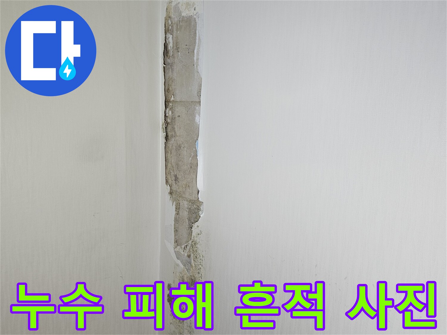 천장-마감재-의-곰팡이와-물자국-상태