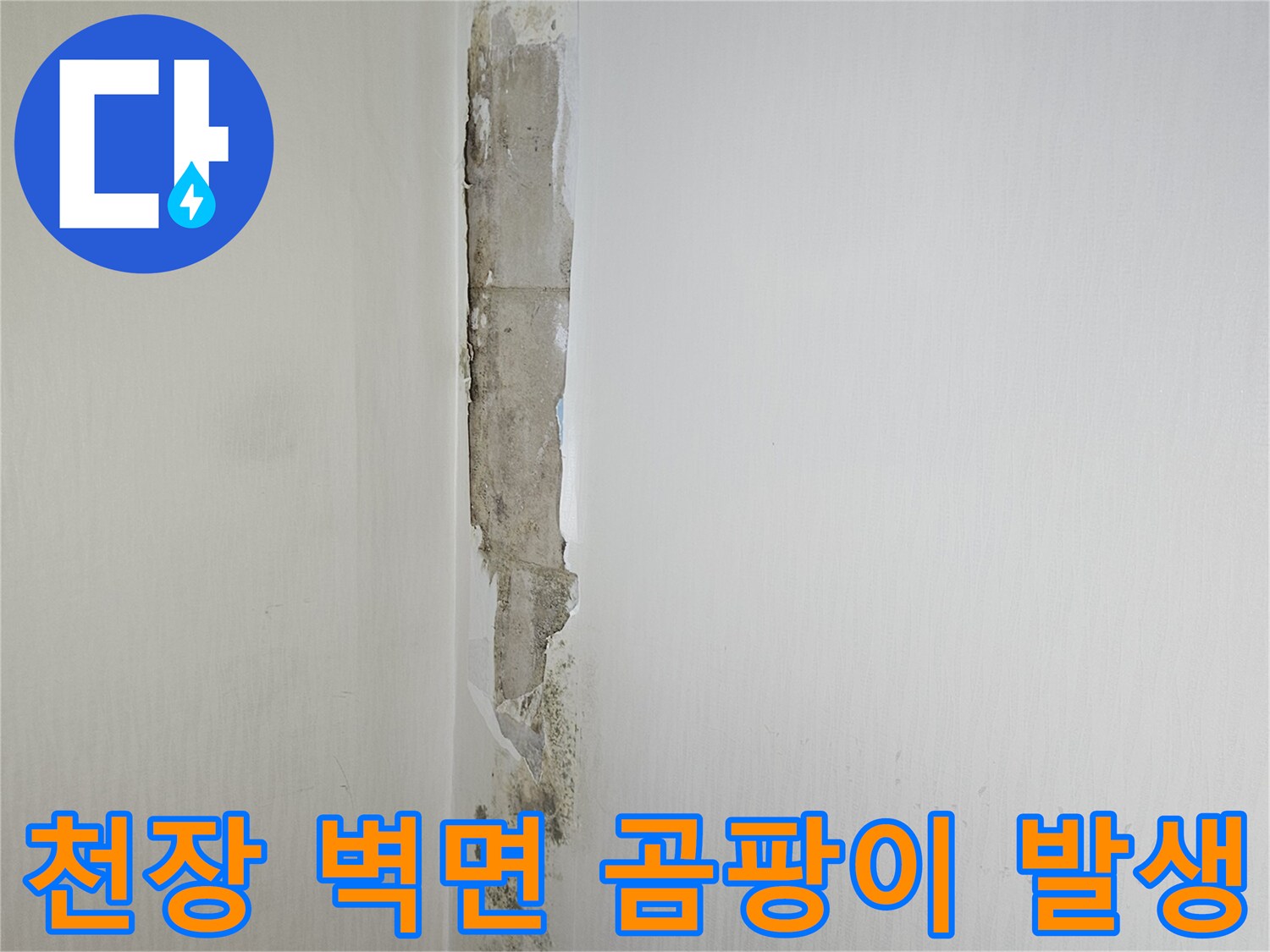 화장실-천장-경계-부분의-심한-곰팡이-발생-상태