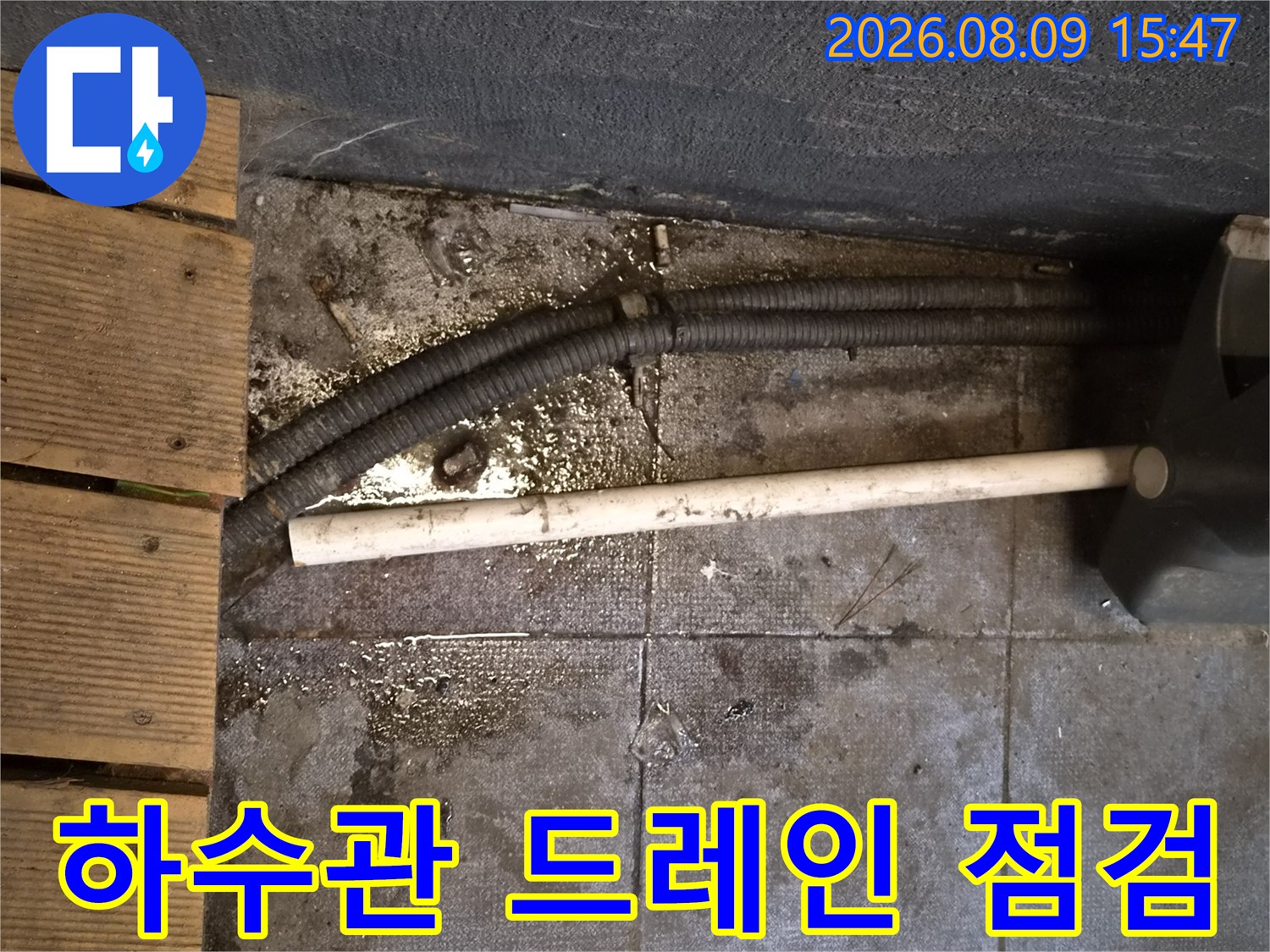 분당 식당 현장의 노출된 배수관과 드레인 주변 상태를 확인하는 모습입니다.