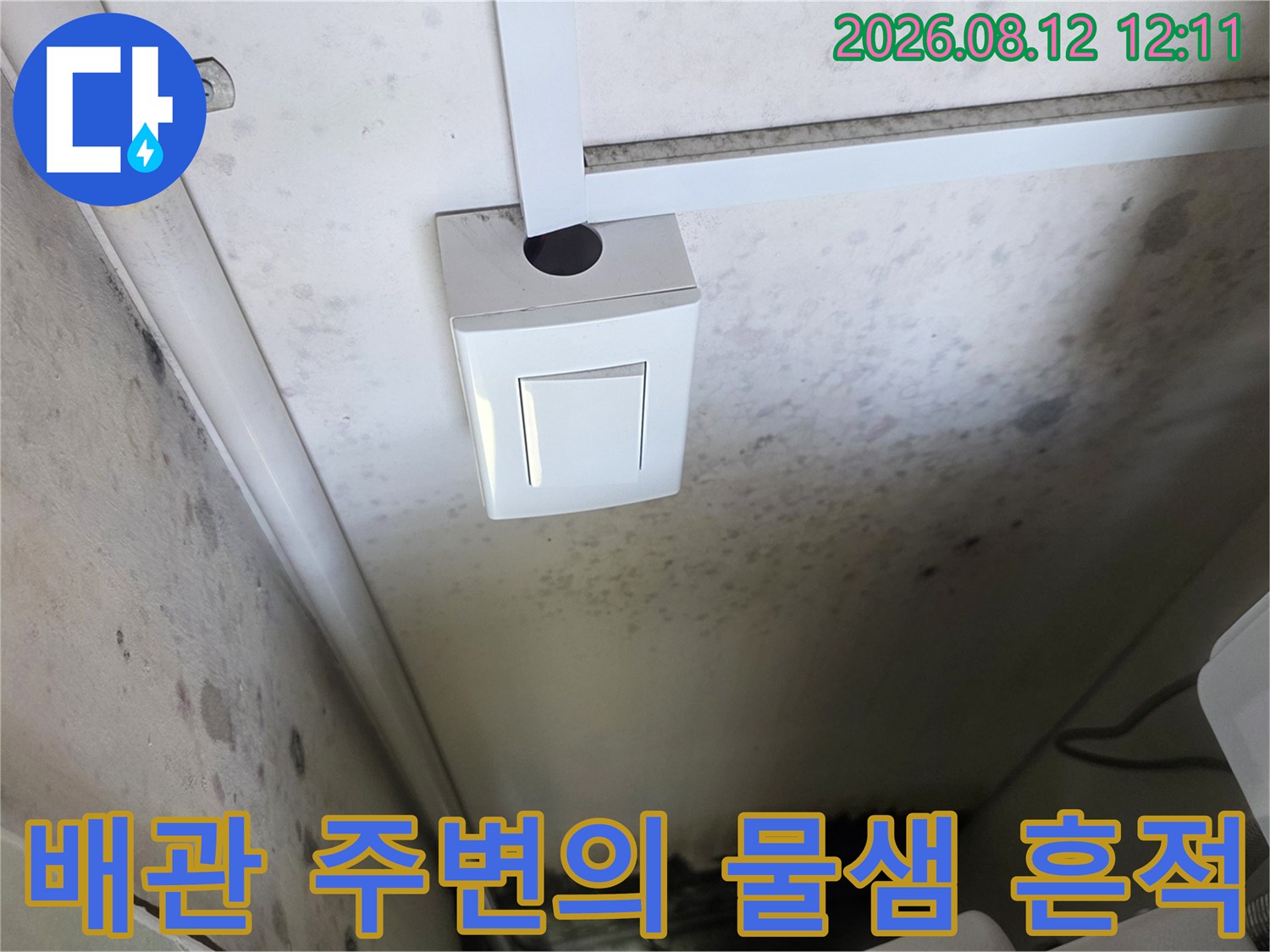 흰색 배관과 스위치 박스 주변에 나타난 습기 및 곰팡이 오염 상태를 보여줍니다.