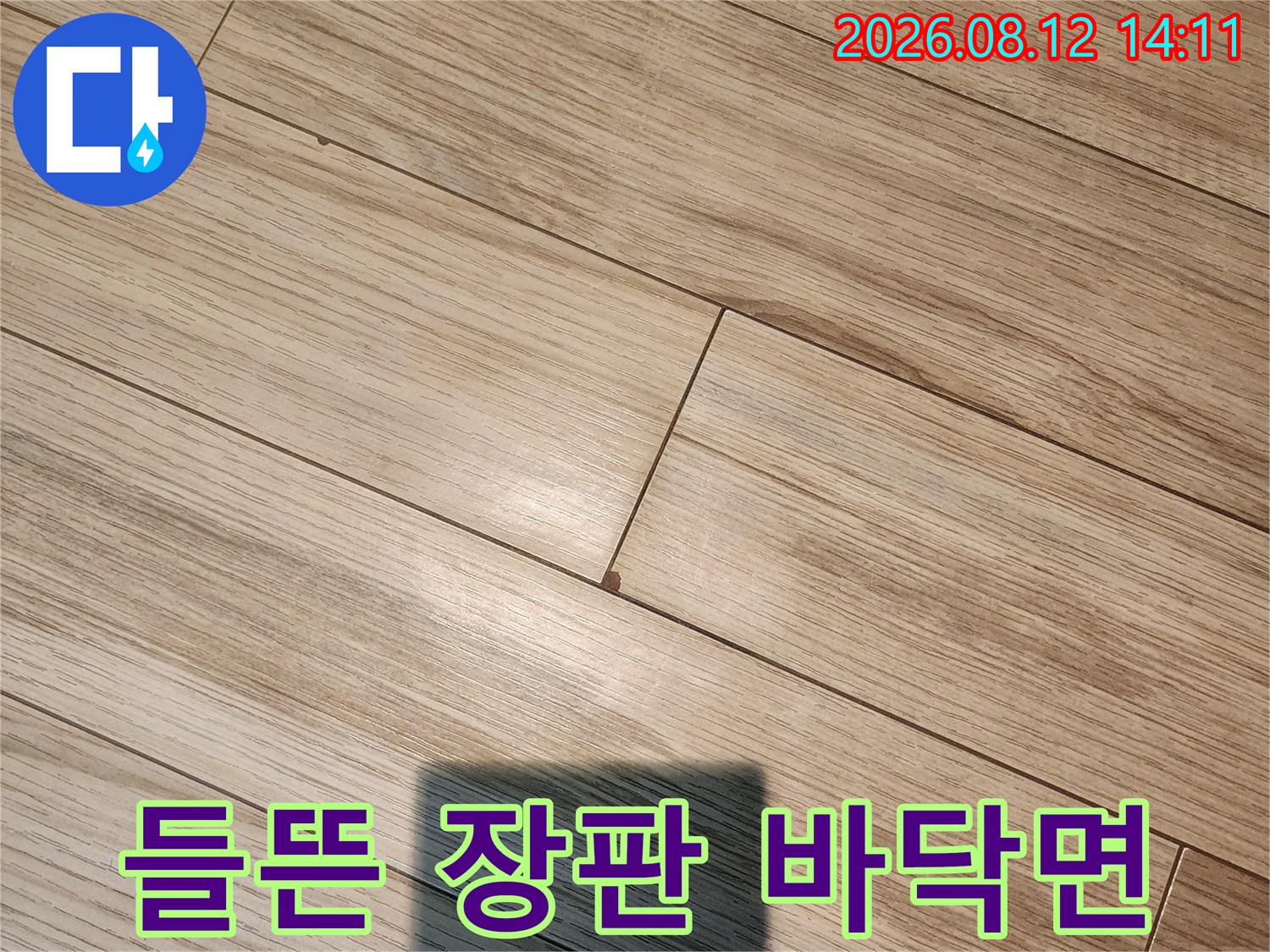 안산 부곡동 현관 입구의 들뜨고 변색된 장판 모습